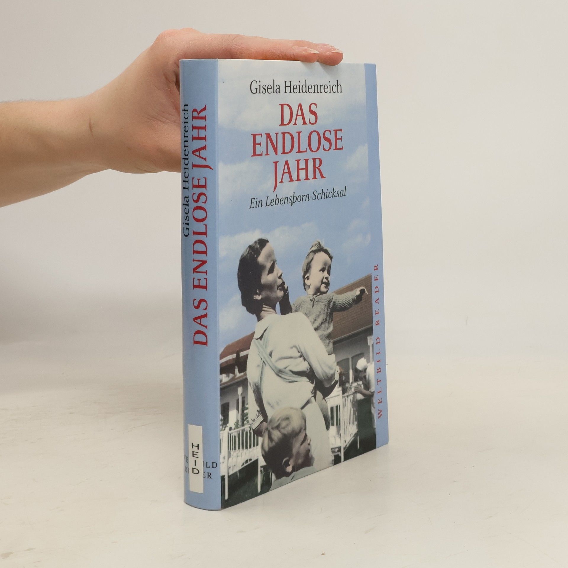 Gisela Heidenreich Das endlose Jahr