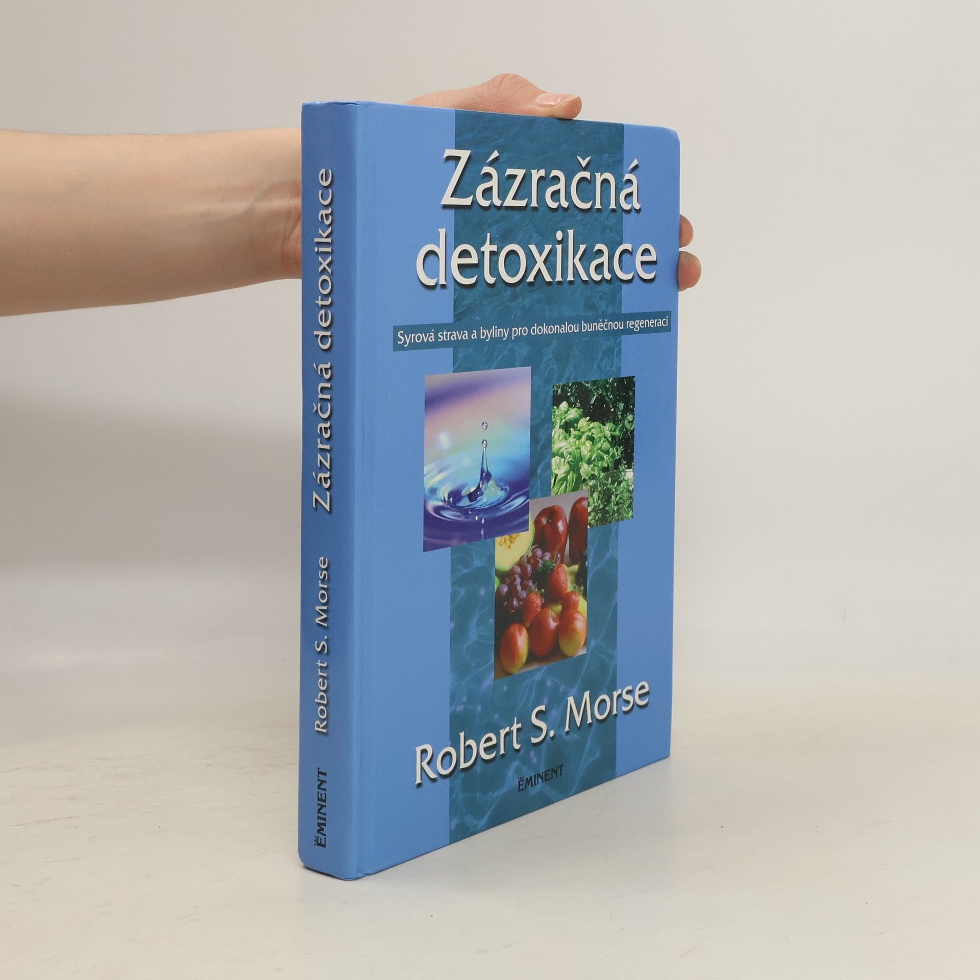 Robert Morse Zázračná detoxikace