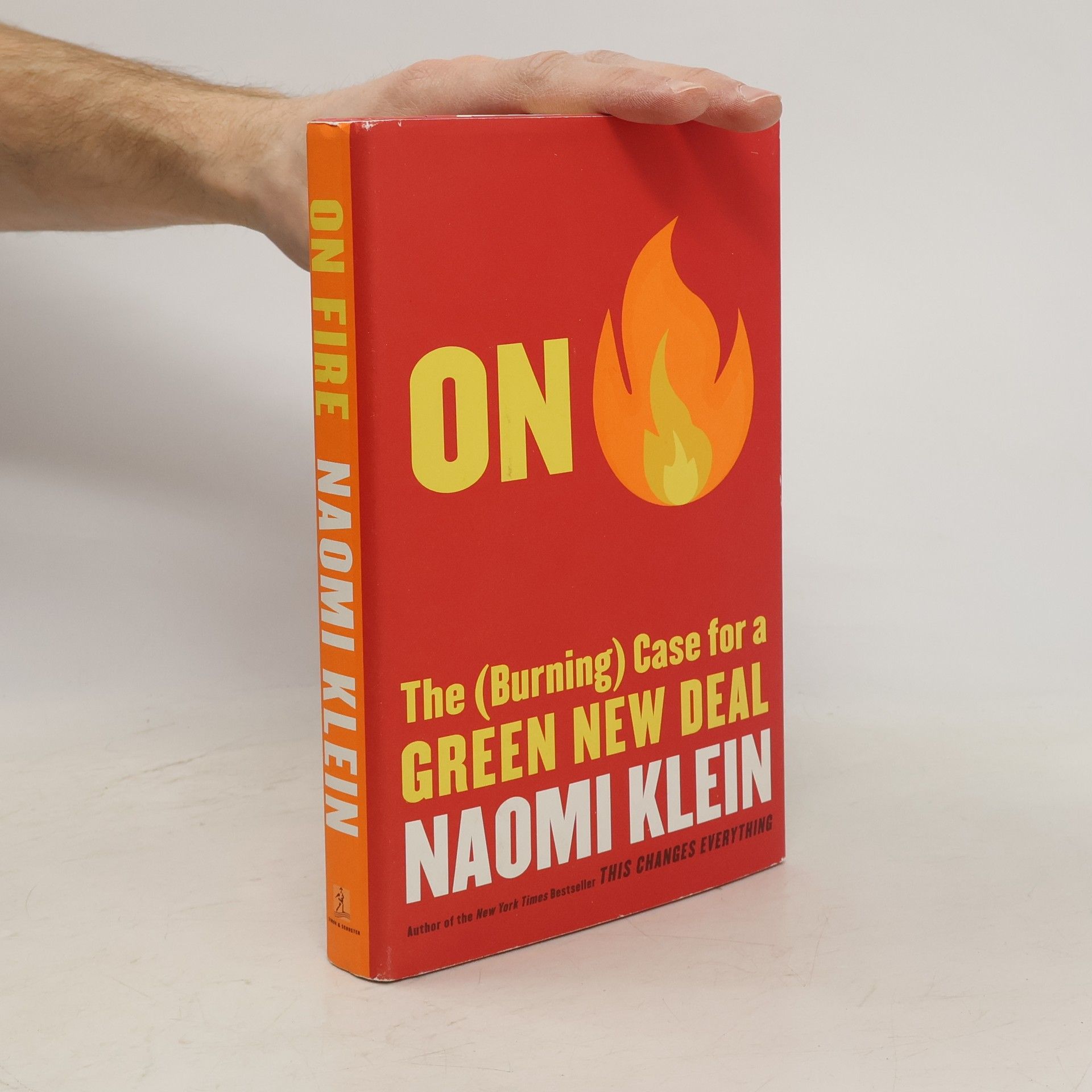 Naomi Klein On Fire: The (Burning) Case for a Green New Deal