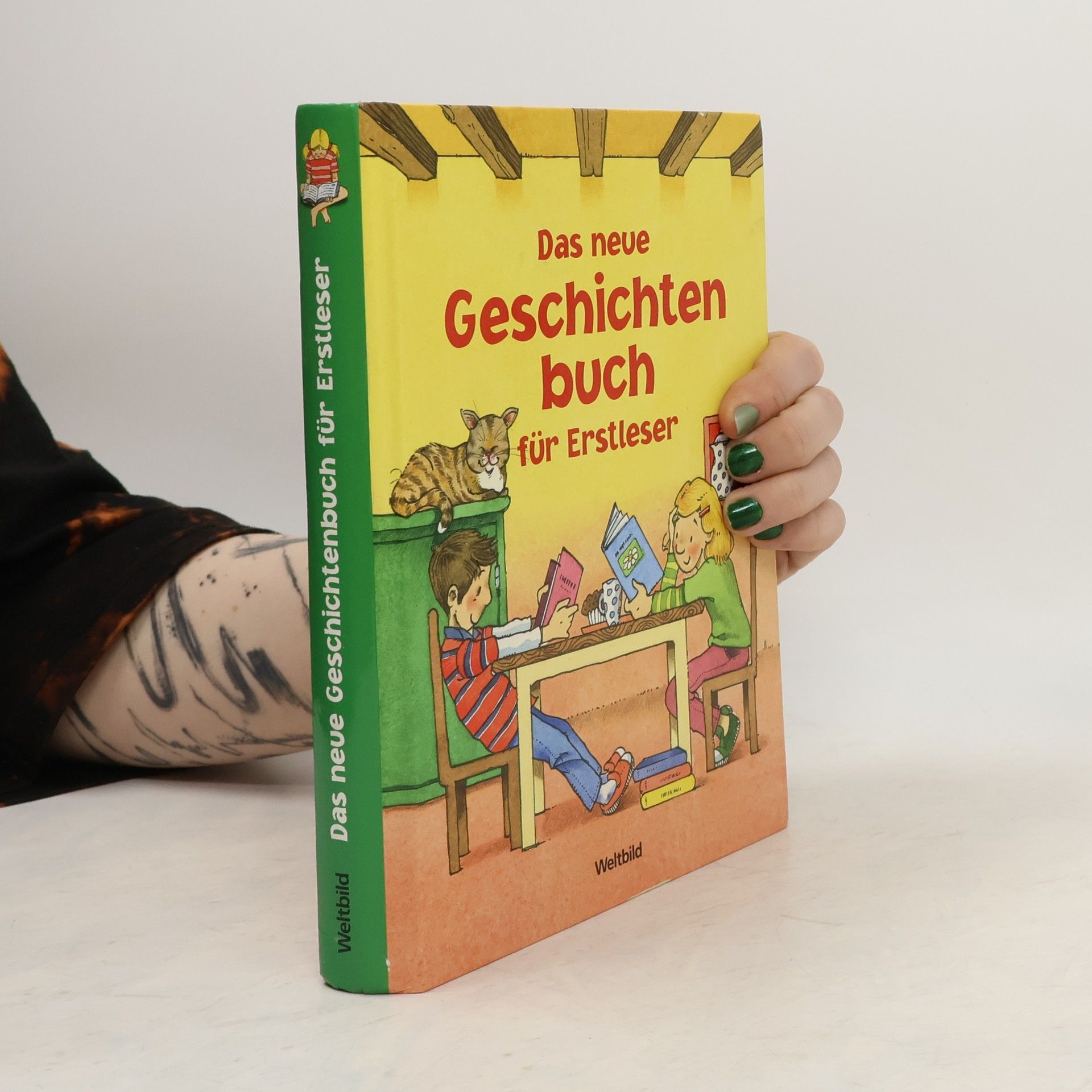 Various authors Das neue Geschichtenbuch für Erstleser