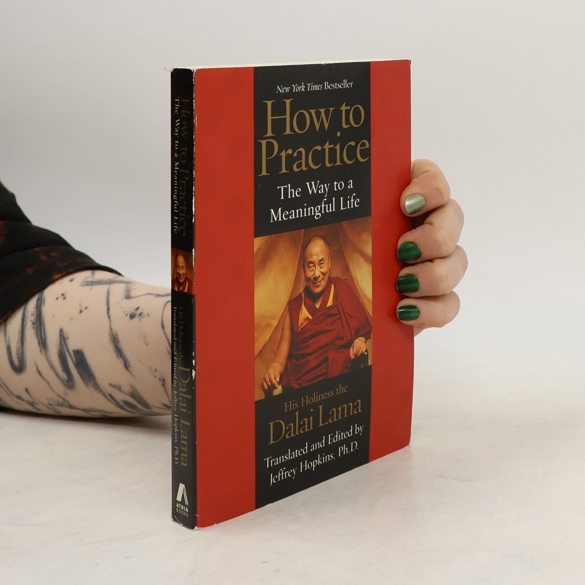 Dalaï-Lama How to Practice: The Way to a Meaningful Life