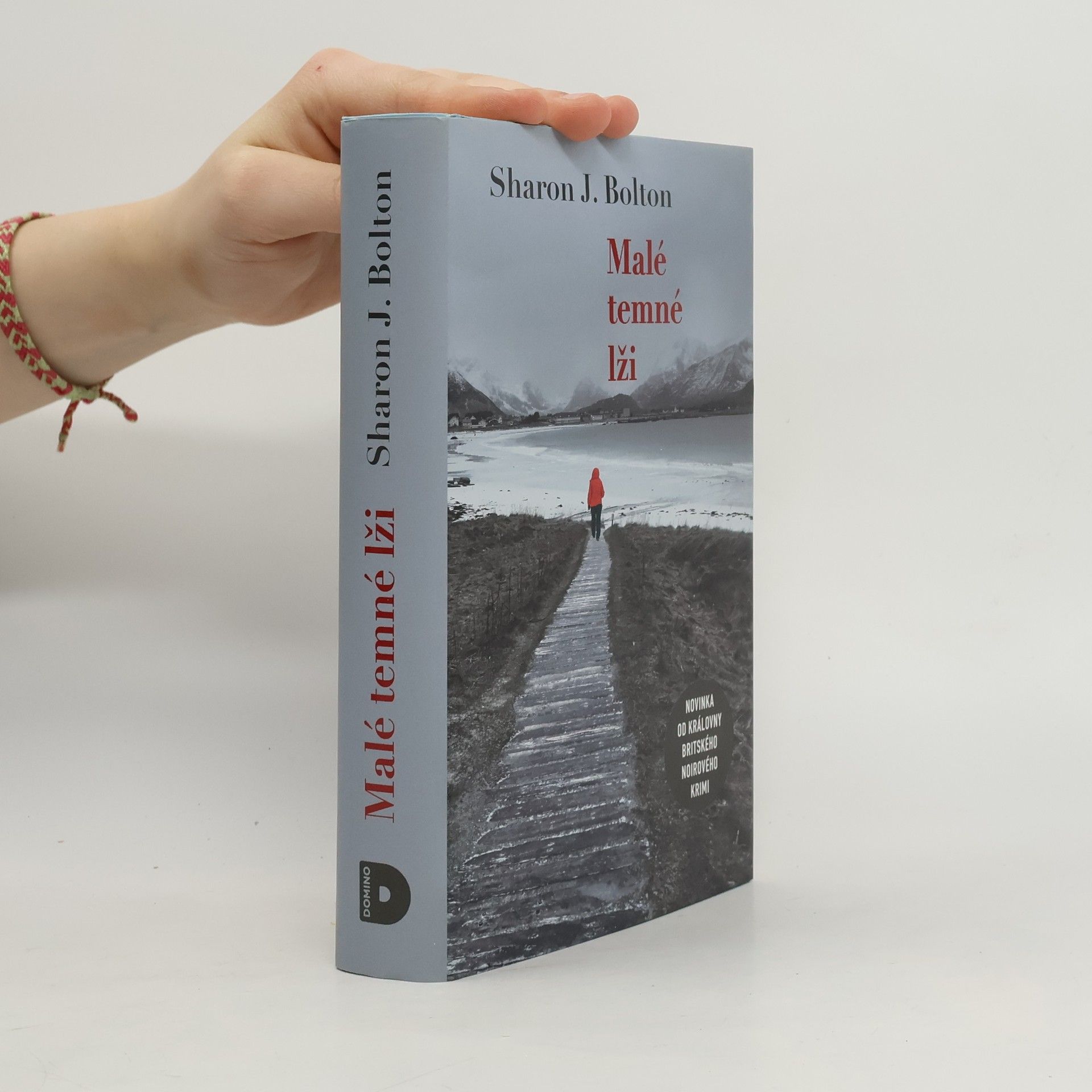 S. J. Bolton Malé temné lži