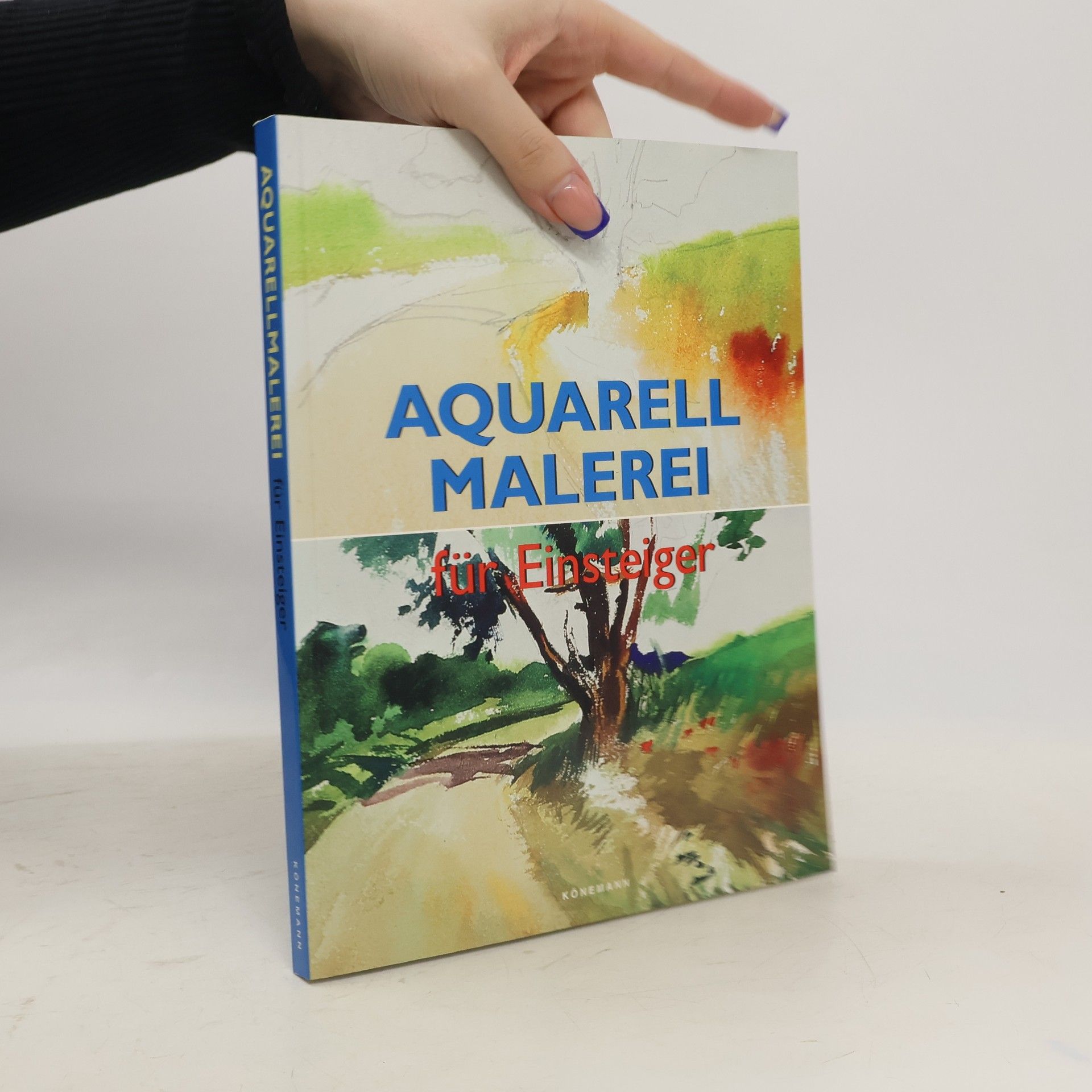 Francisco Asensio Cerver Aquarellmalerei für Einsteiger