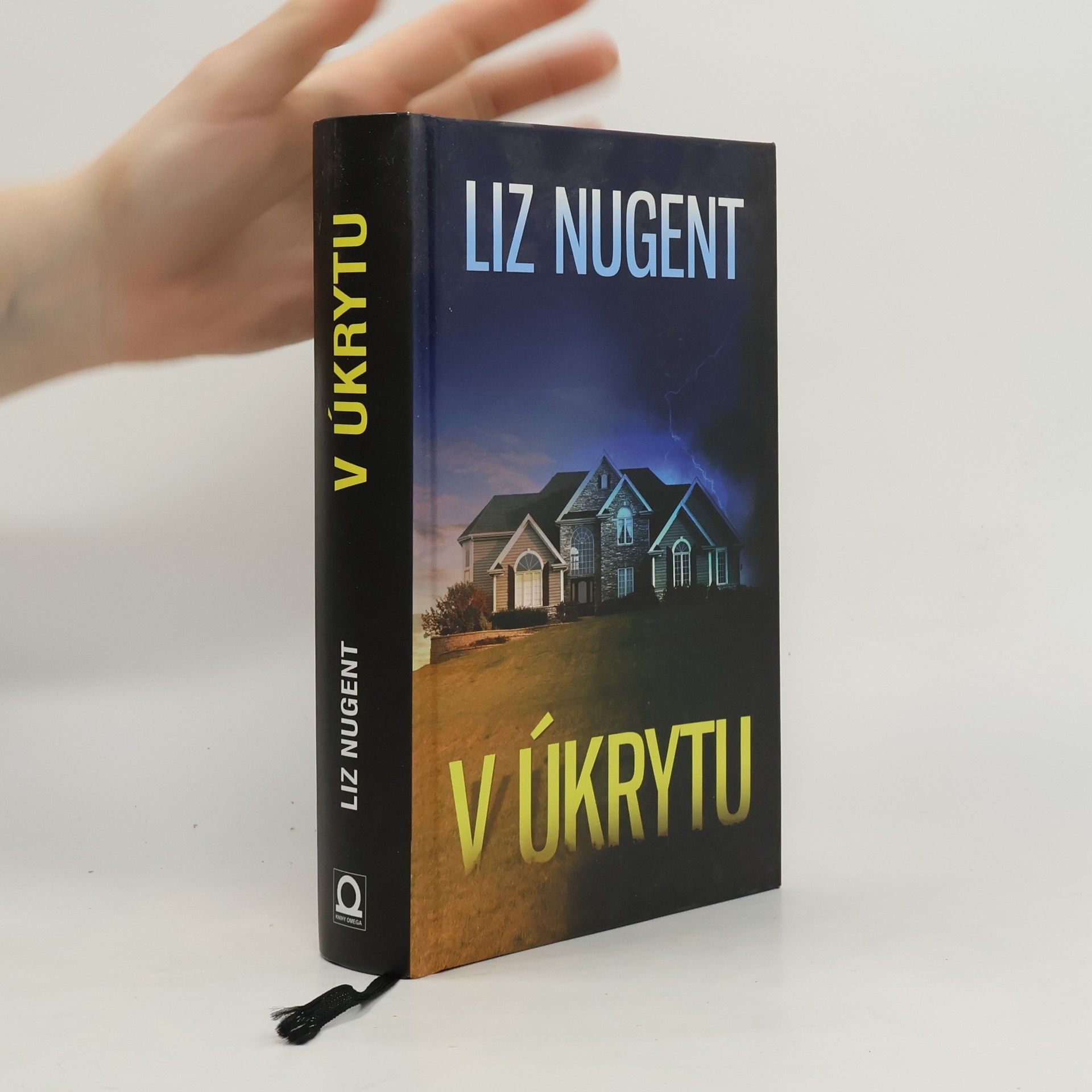 Liz Nugent V úkrytu