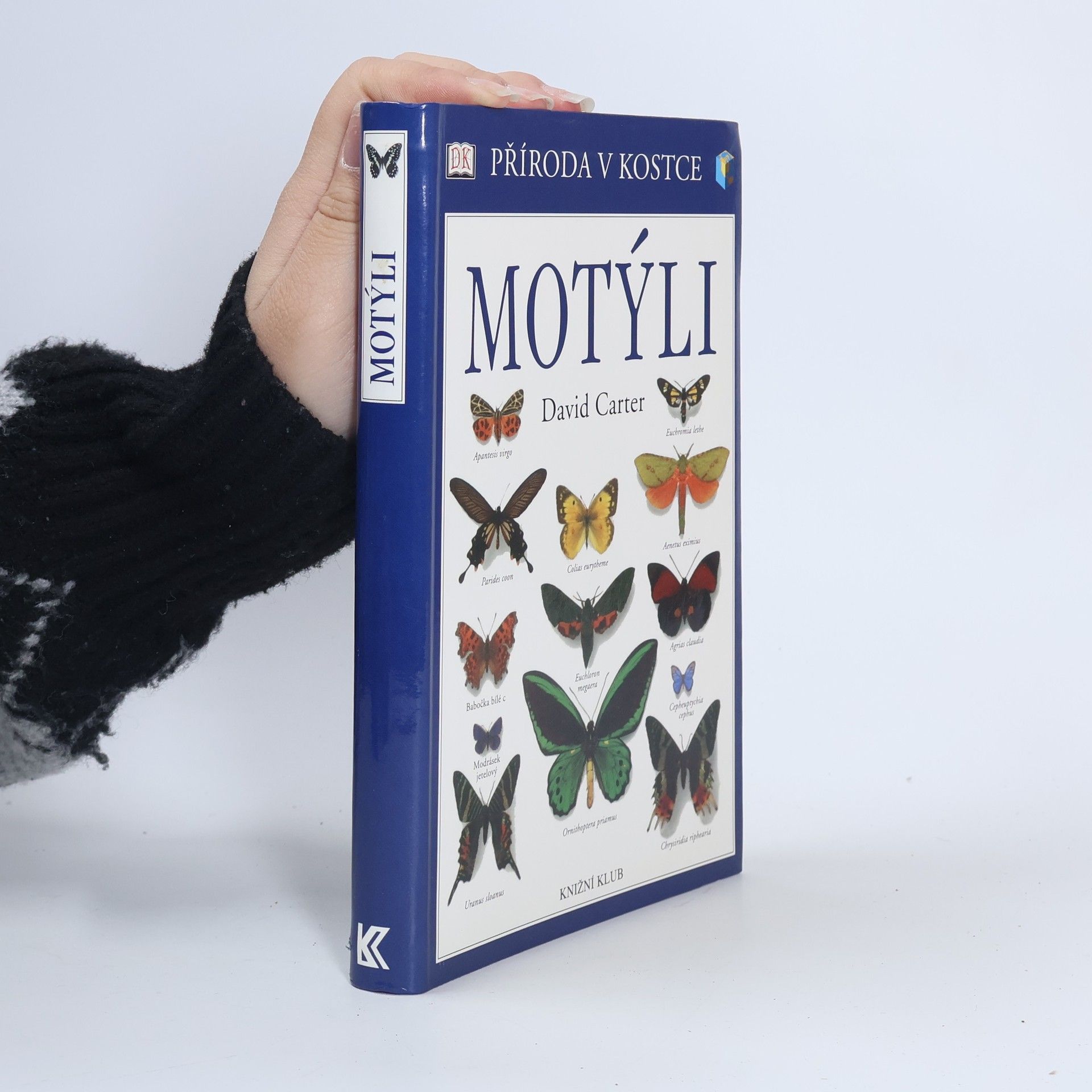 David Carter Motýli
