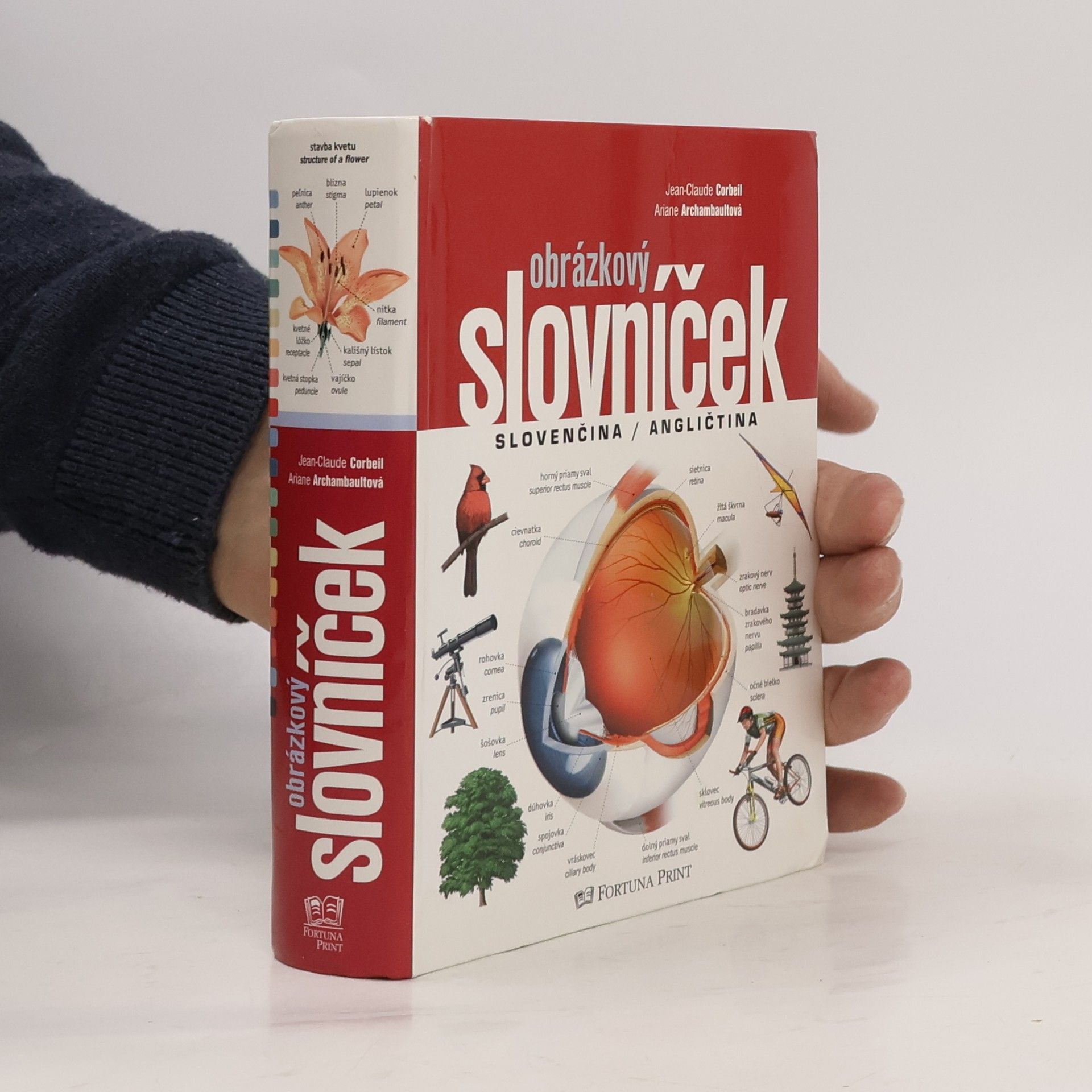 Ariane Archambault Obrázkový slovníček, Slovenčina / Angličtina