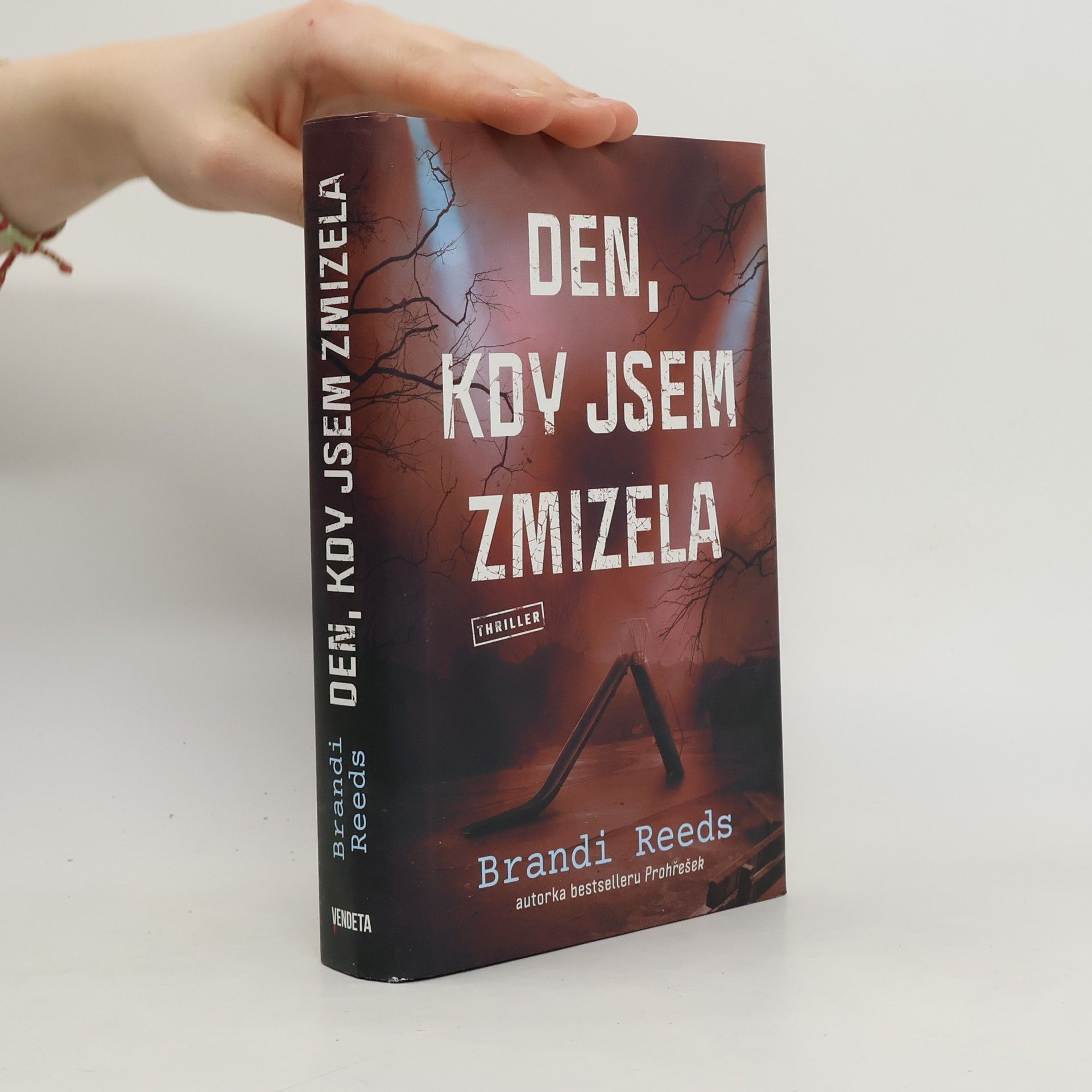 Brandi Reeds Den, kdy jsem zmizela