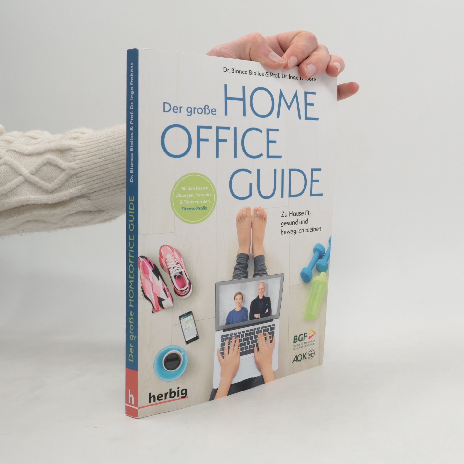 Ingo Froböse Der große Homeoffice Guide