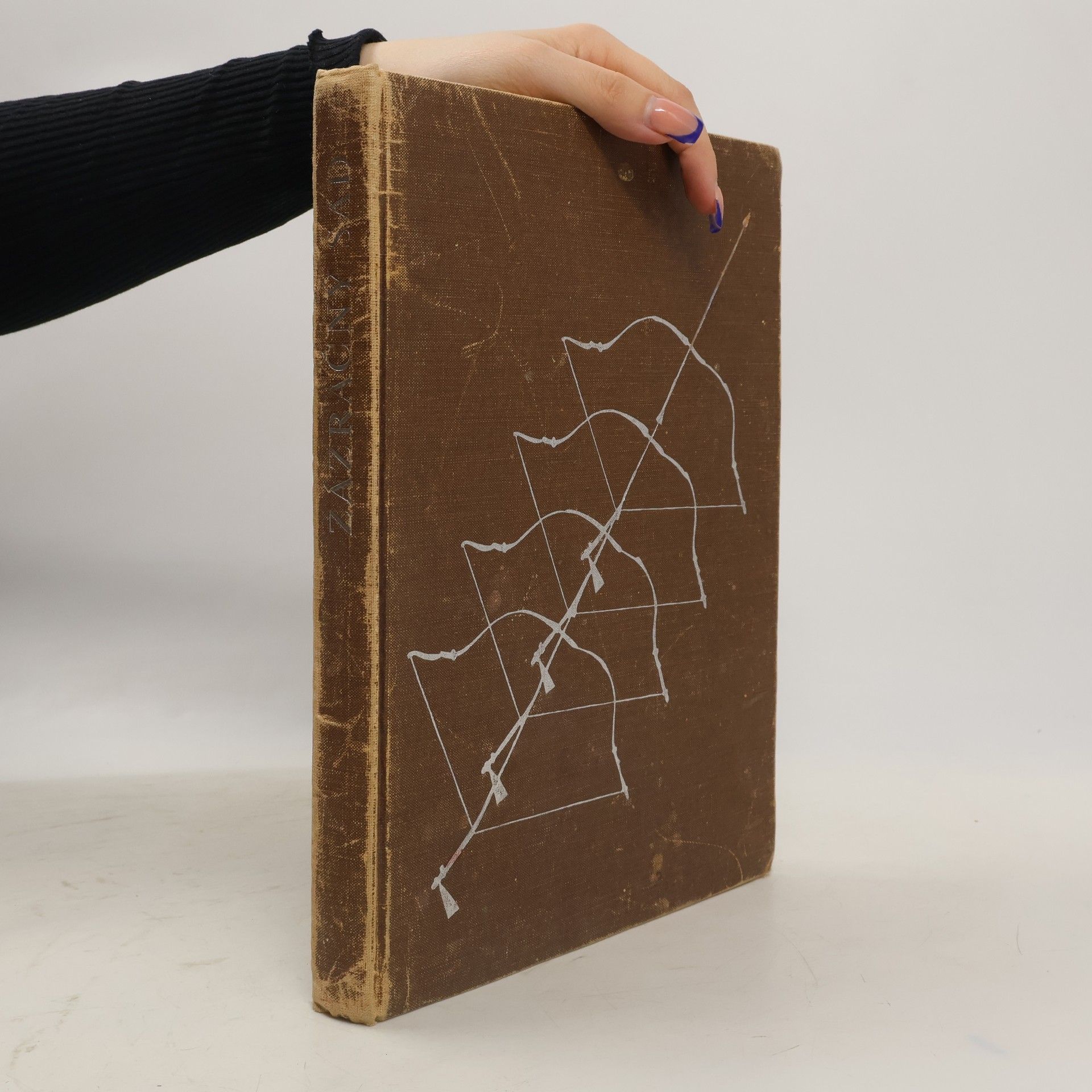 Helena Křižanová-Brindzová Zazračny sad