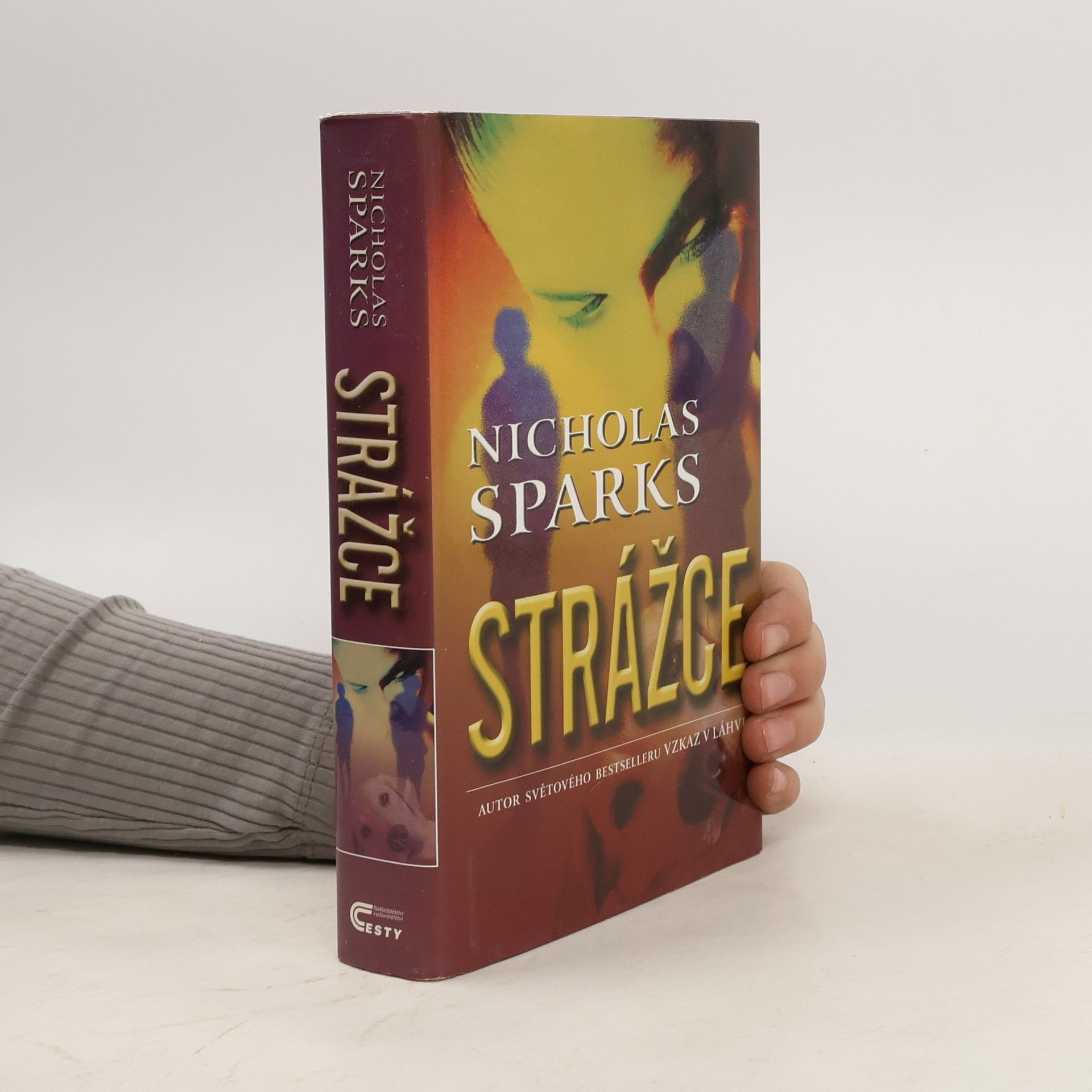 Nicholas Sparks Strážce