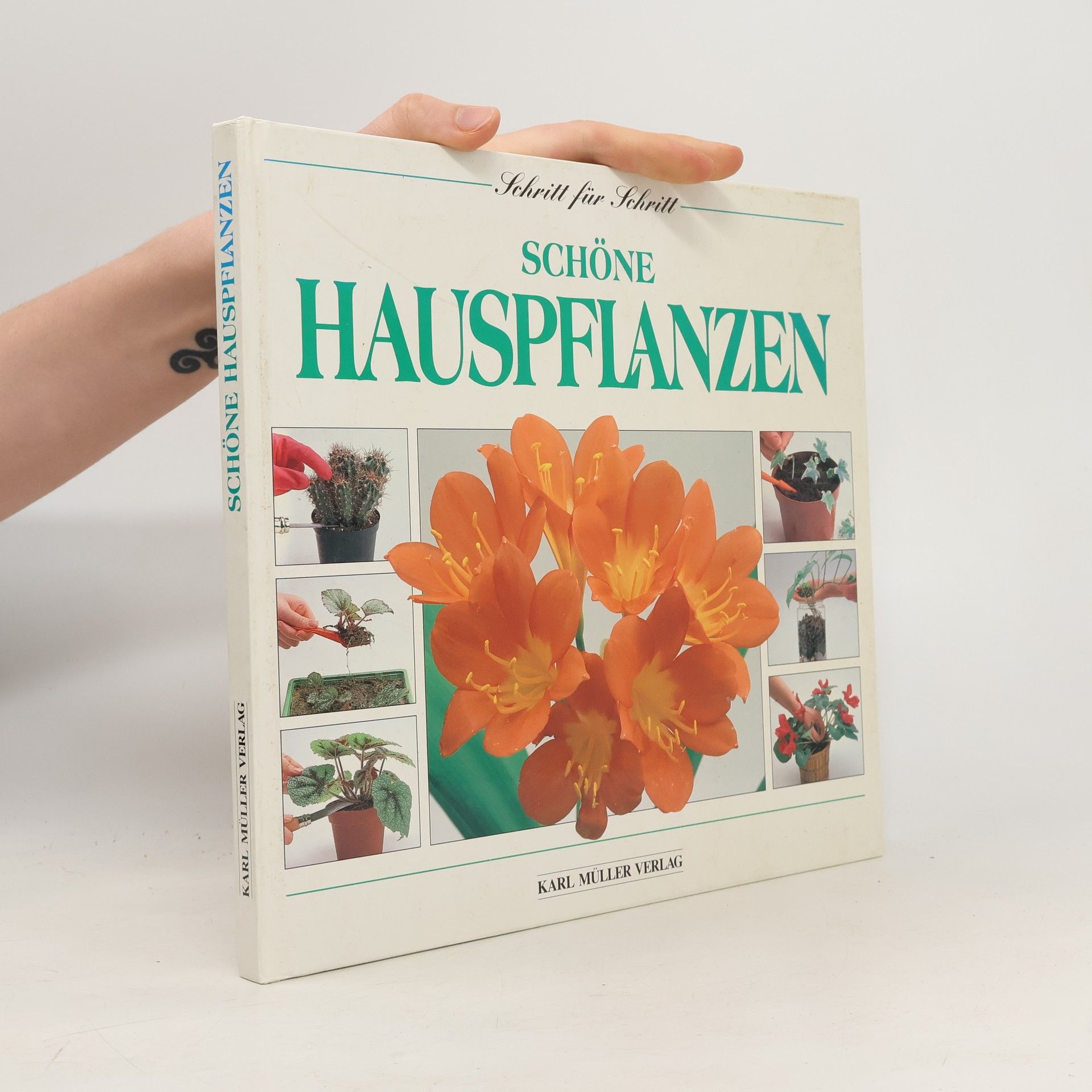 Autorenkollektiv Schöne Hauspflanzen