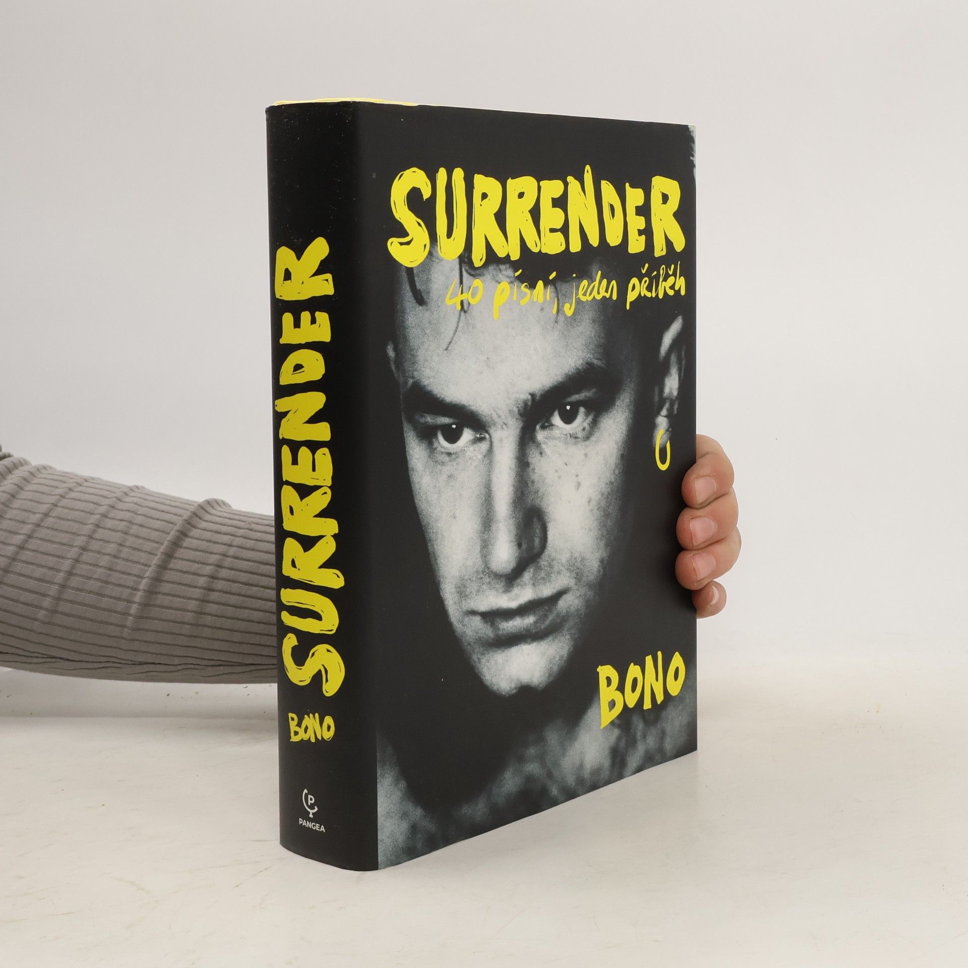 Bono Surrender : 40 písní, jeden příběh