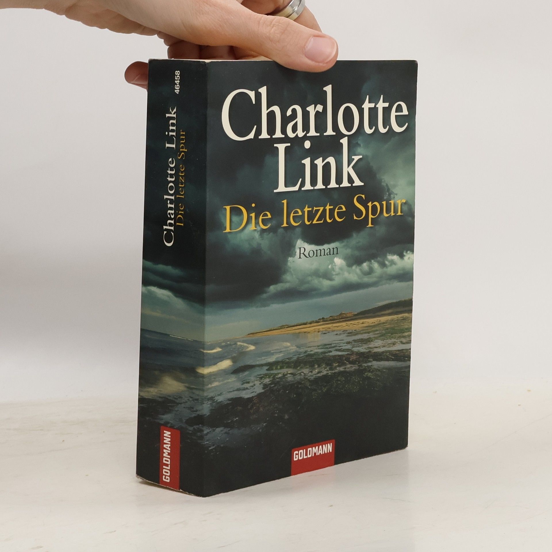 Charlotte Link Die letzte Spur