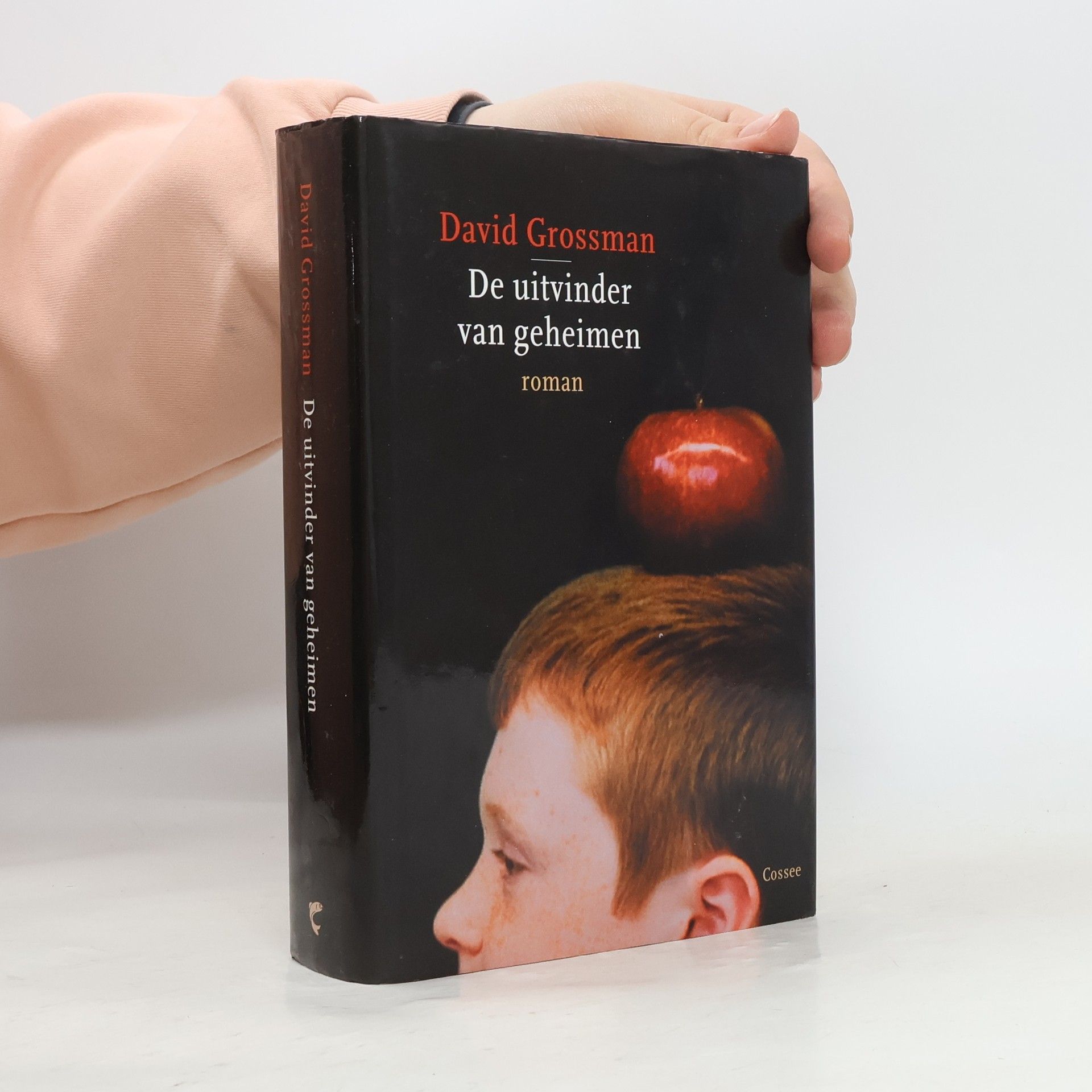 David Grossman De uitvinder van geheimen