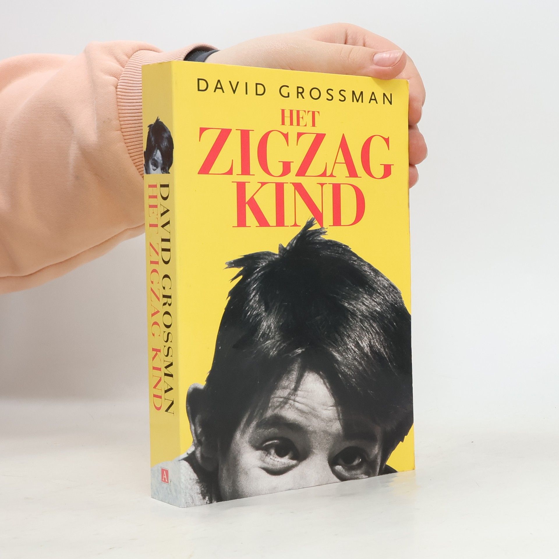 David Grossman Het zigzagkind
