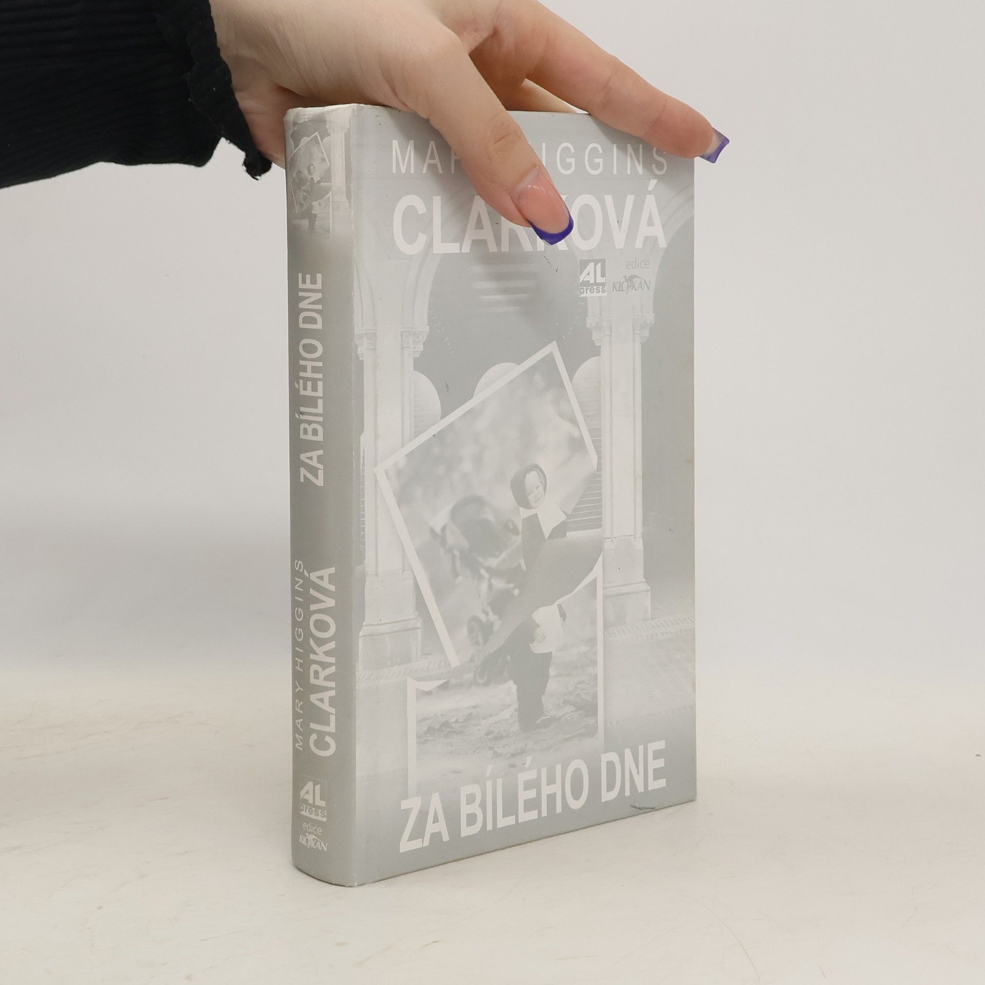 Mary Higgins Clark Za bílého dne