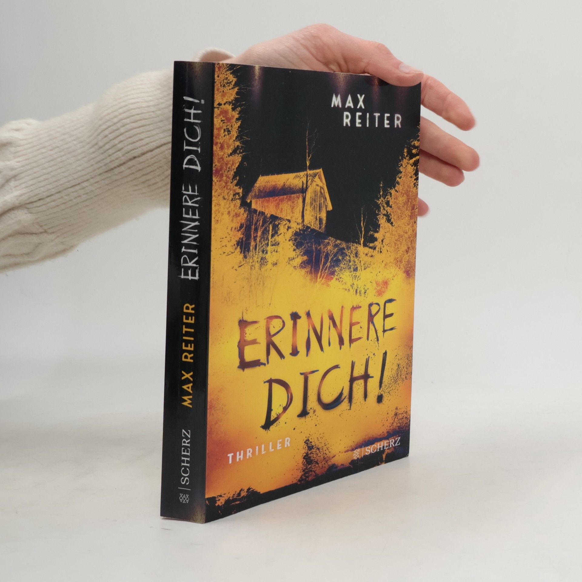 Max Reiter Erinnere dich!