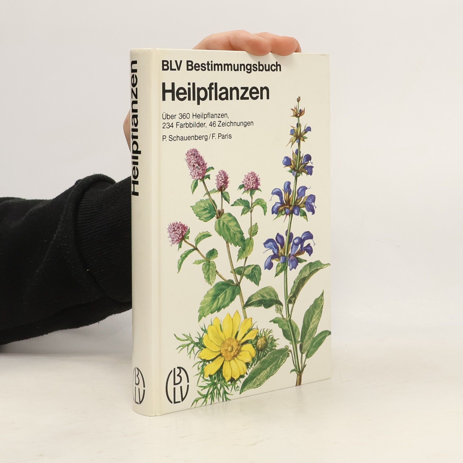 Paul Schauenberg Heilpflanzen