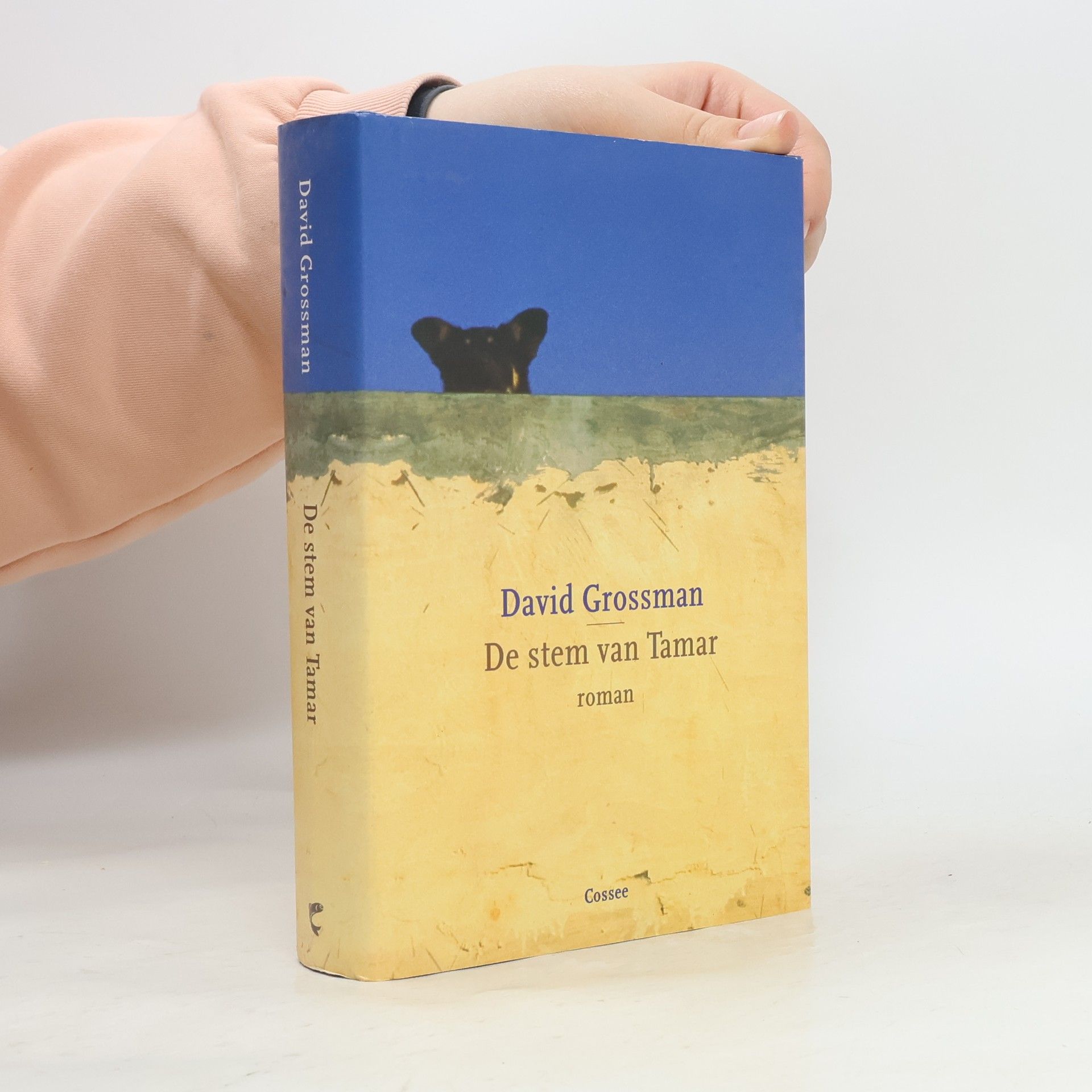 David Grossman De stem van Tamar