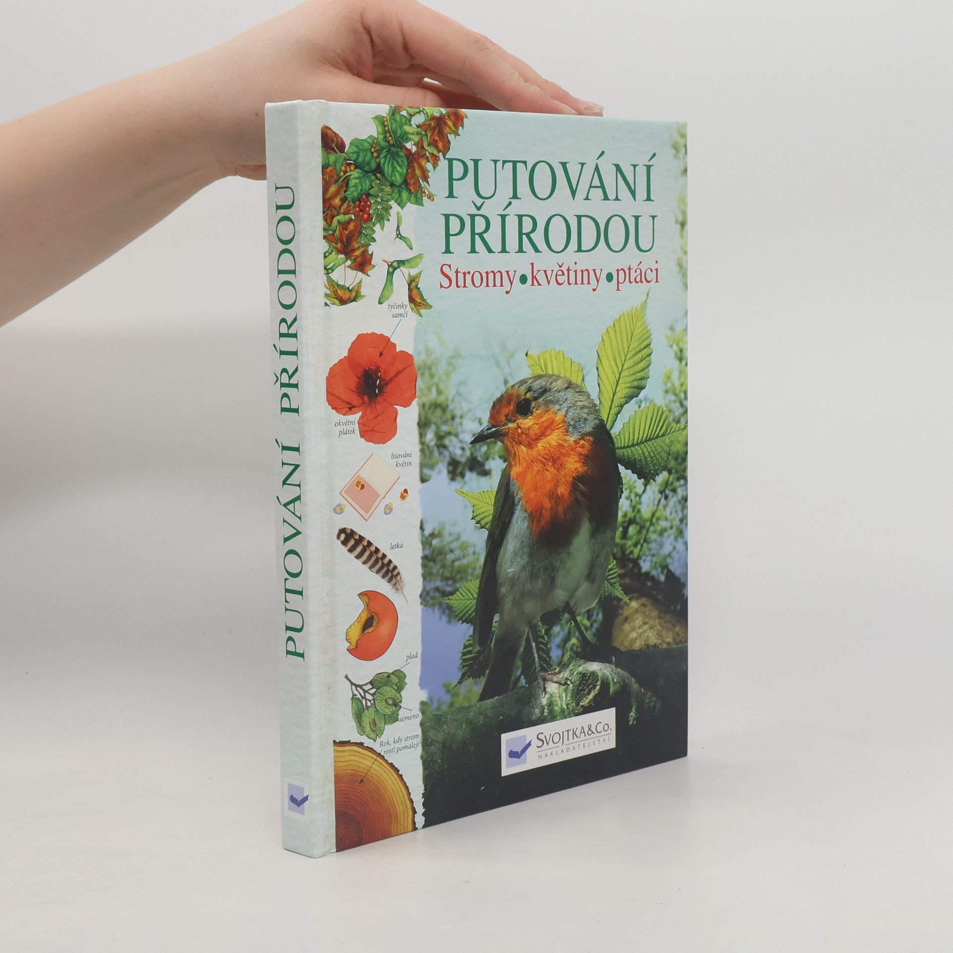 Kolektiv autorů Putování přírodou: Stromy, květiny, ptáci