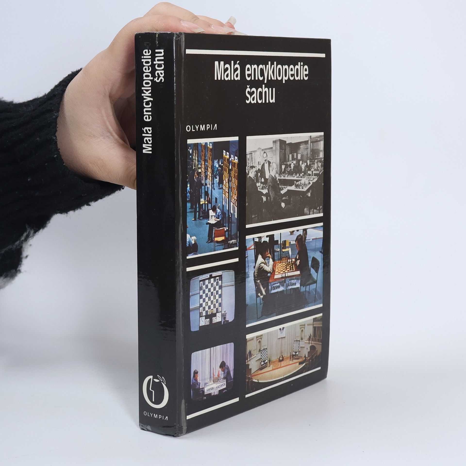 Malá encyklopedie šachu