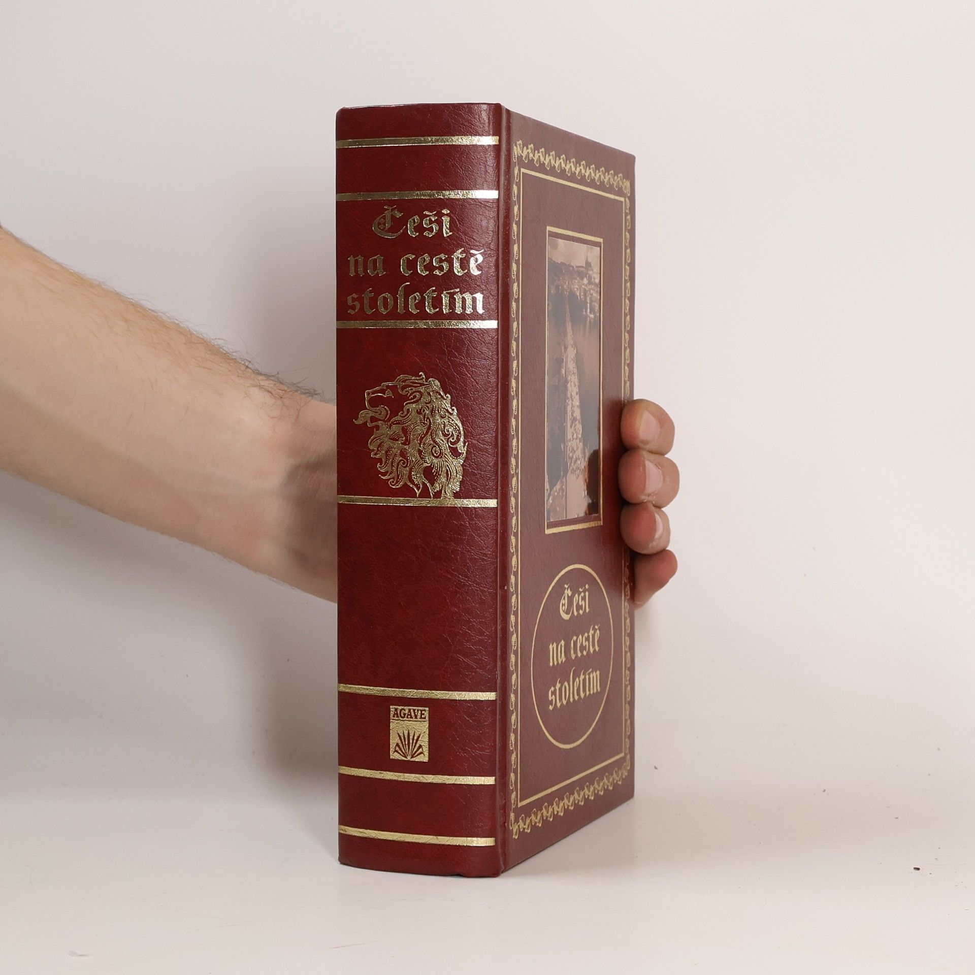 Jan Bauer Češi na cestě stoletím : (příběhy, osudy, dramata)