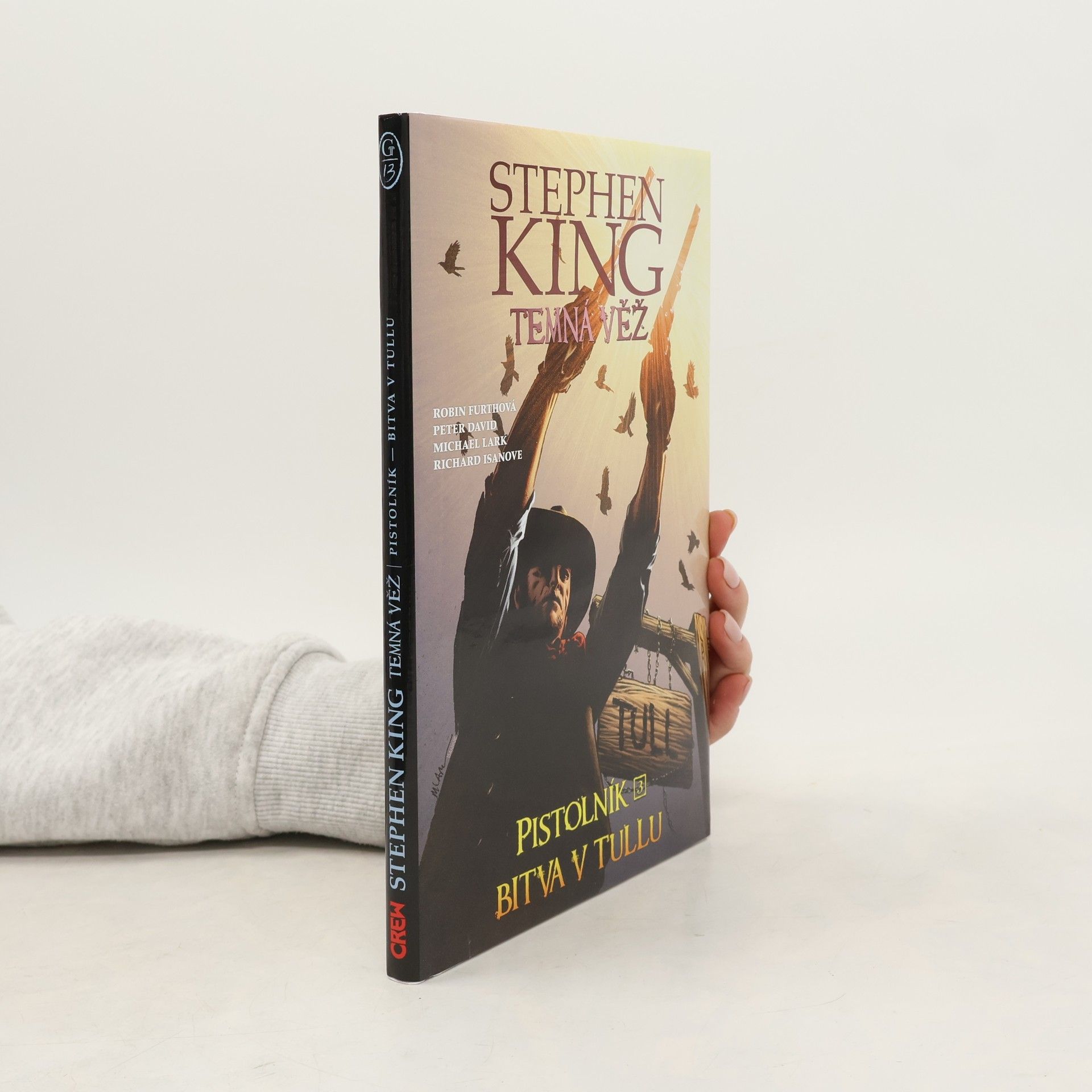 P. David Temná věž 8: Pistolník 3: Bitva v Tullu