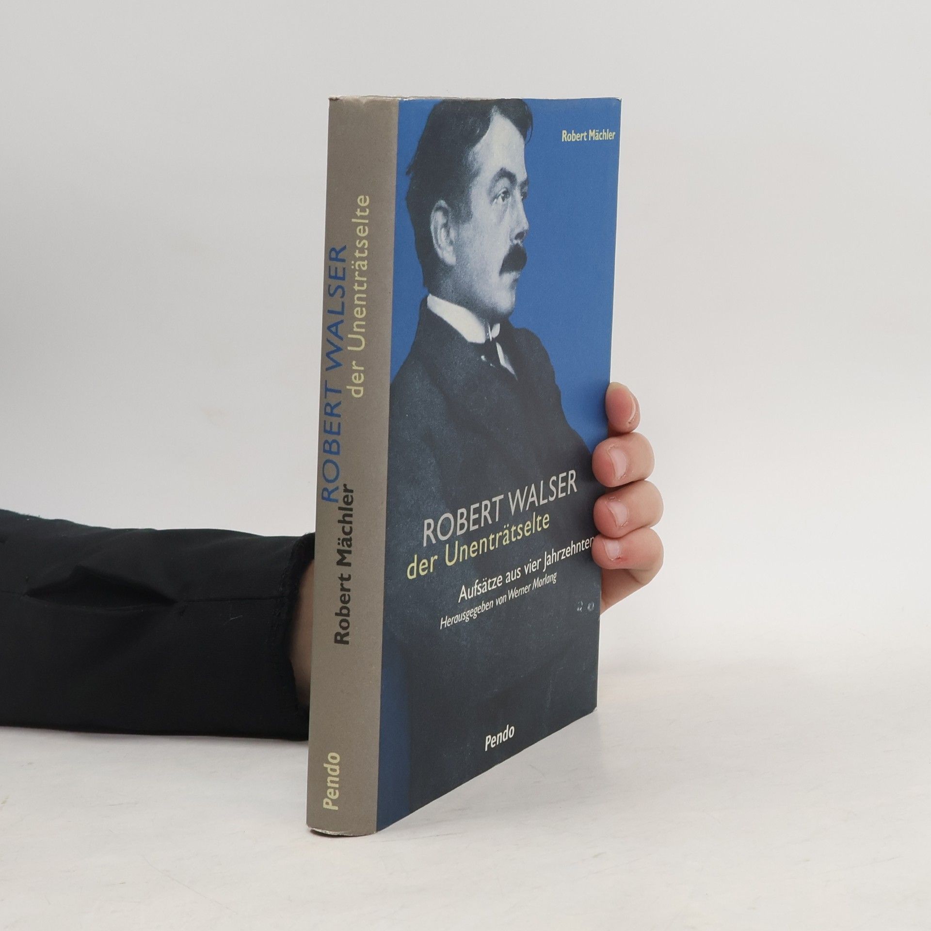 Robert Mächler Robert Walser, der Unenträtselte
