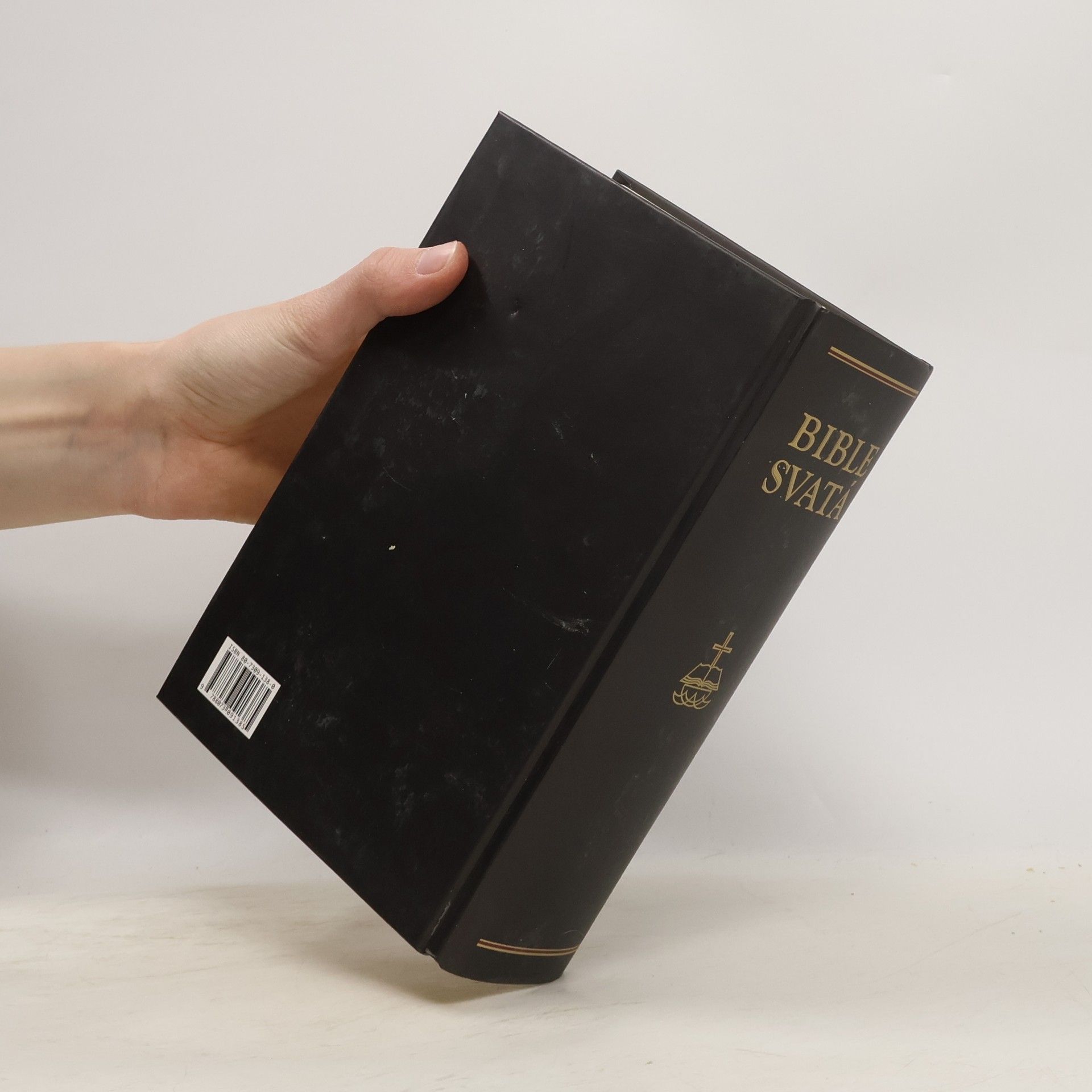 Collectif d'auteurs Bible svatá aneb všecka svatá písma Starého i Nového zákona
