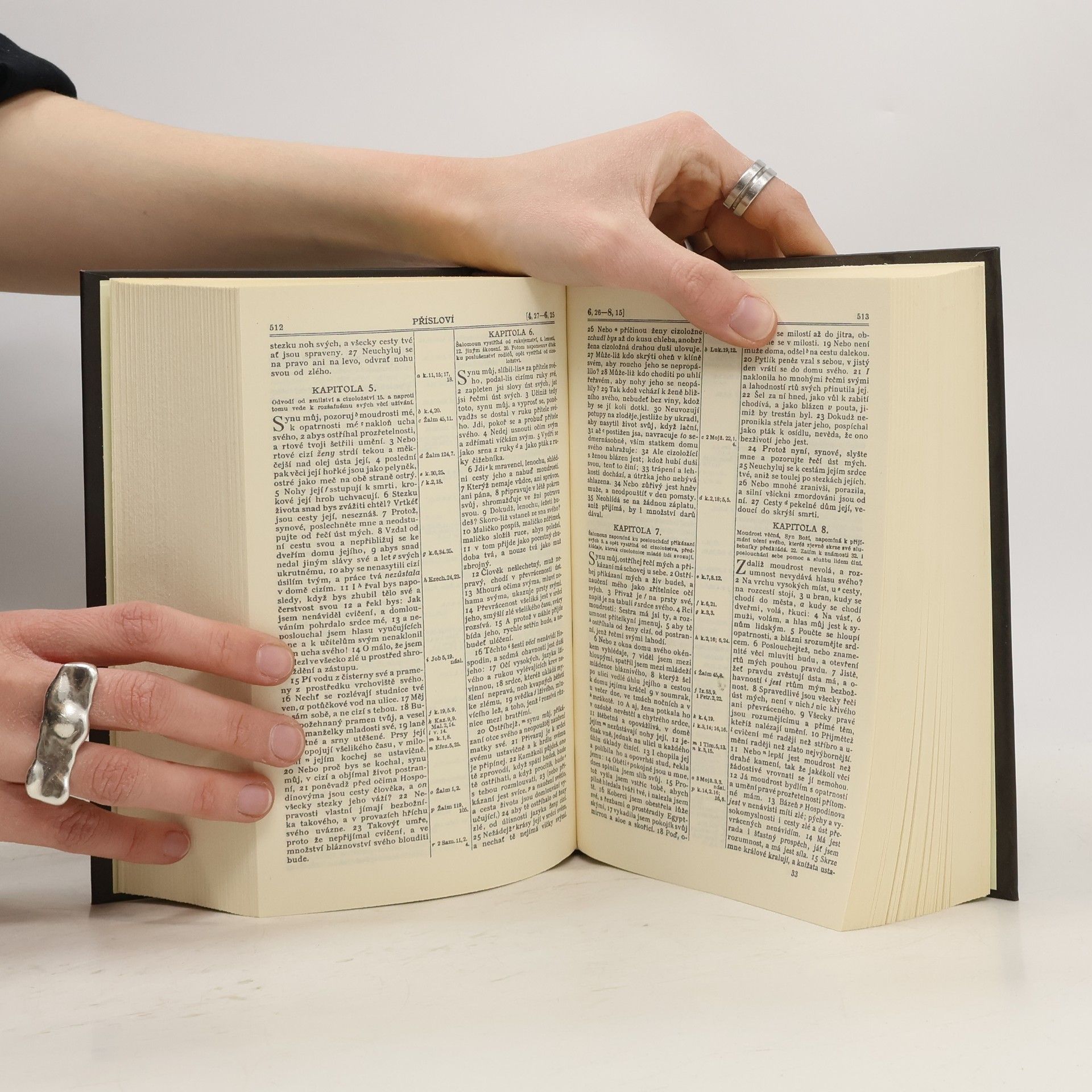 Collectif d'auteurs Bible svatá aneb všecka svatá písma Starého i Nového zákona