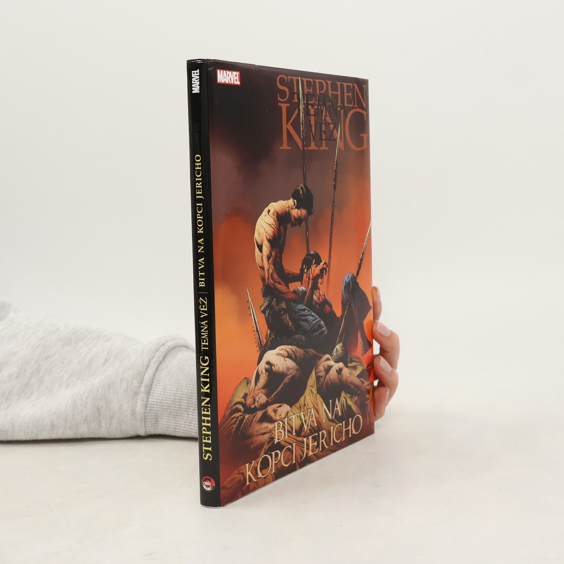 Robin Furth Temná věž 5: Bitva na kopci Jericho