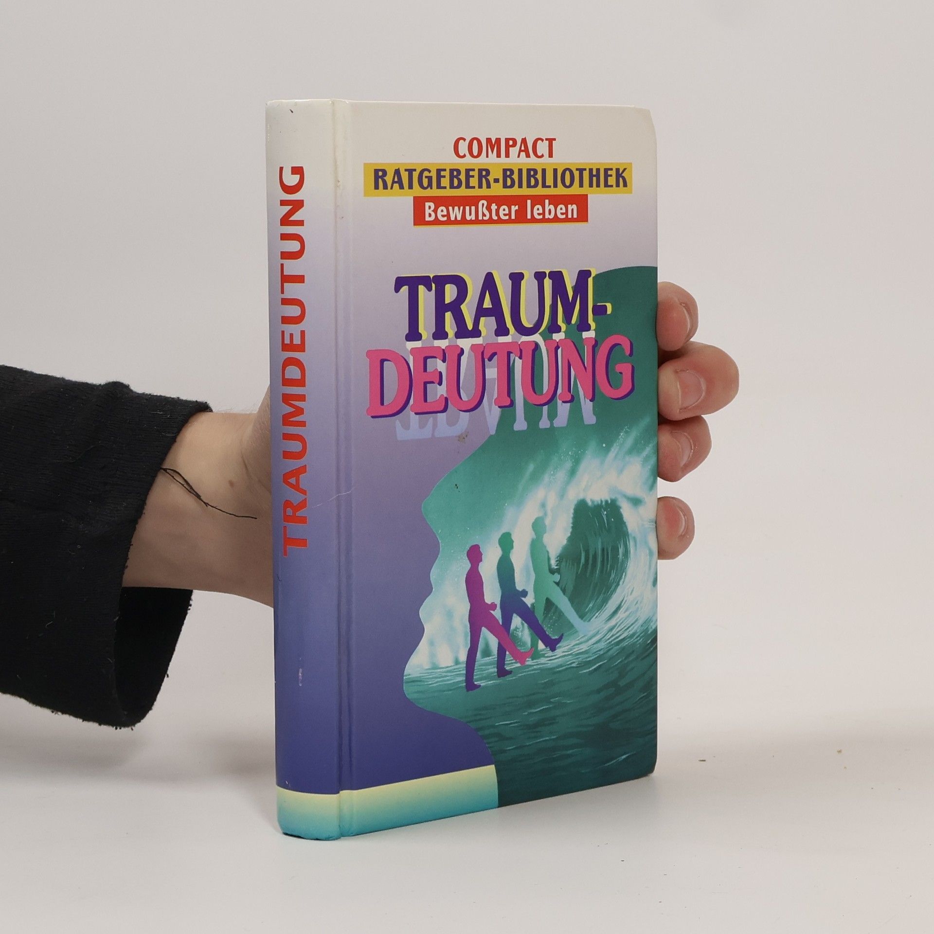 Ursula Fassbender Traumdeutung