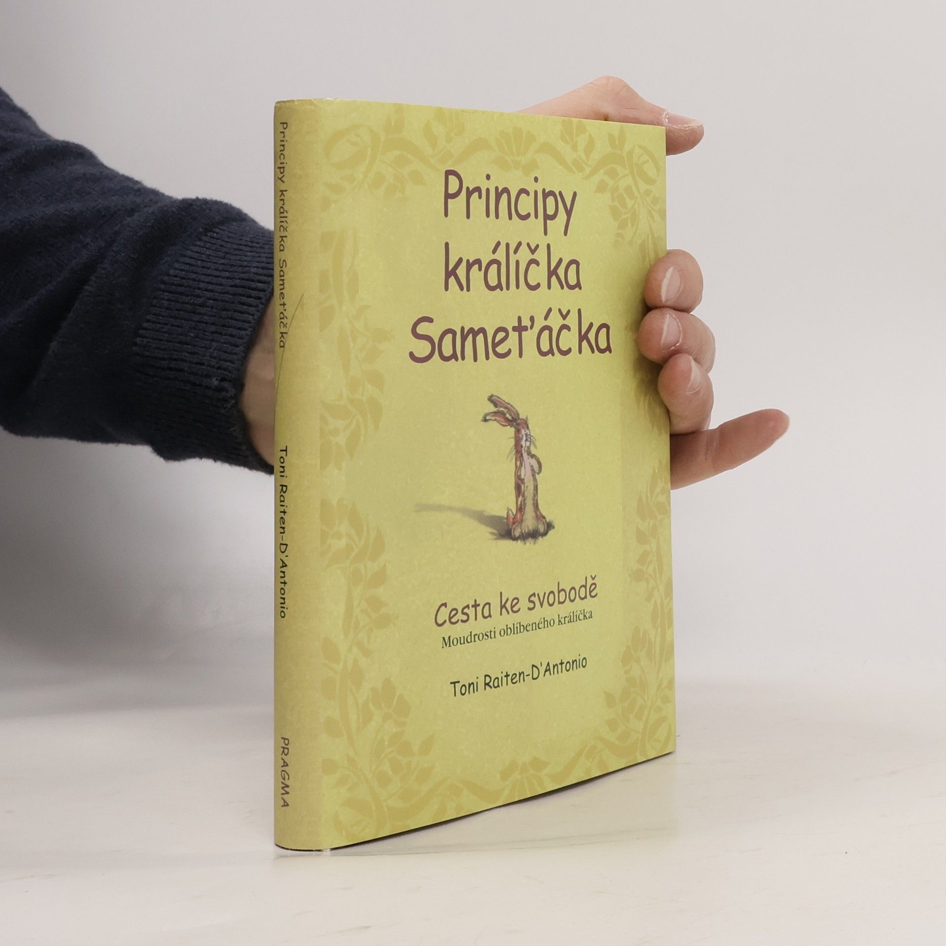 Principy králíčka Sameťáčka