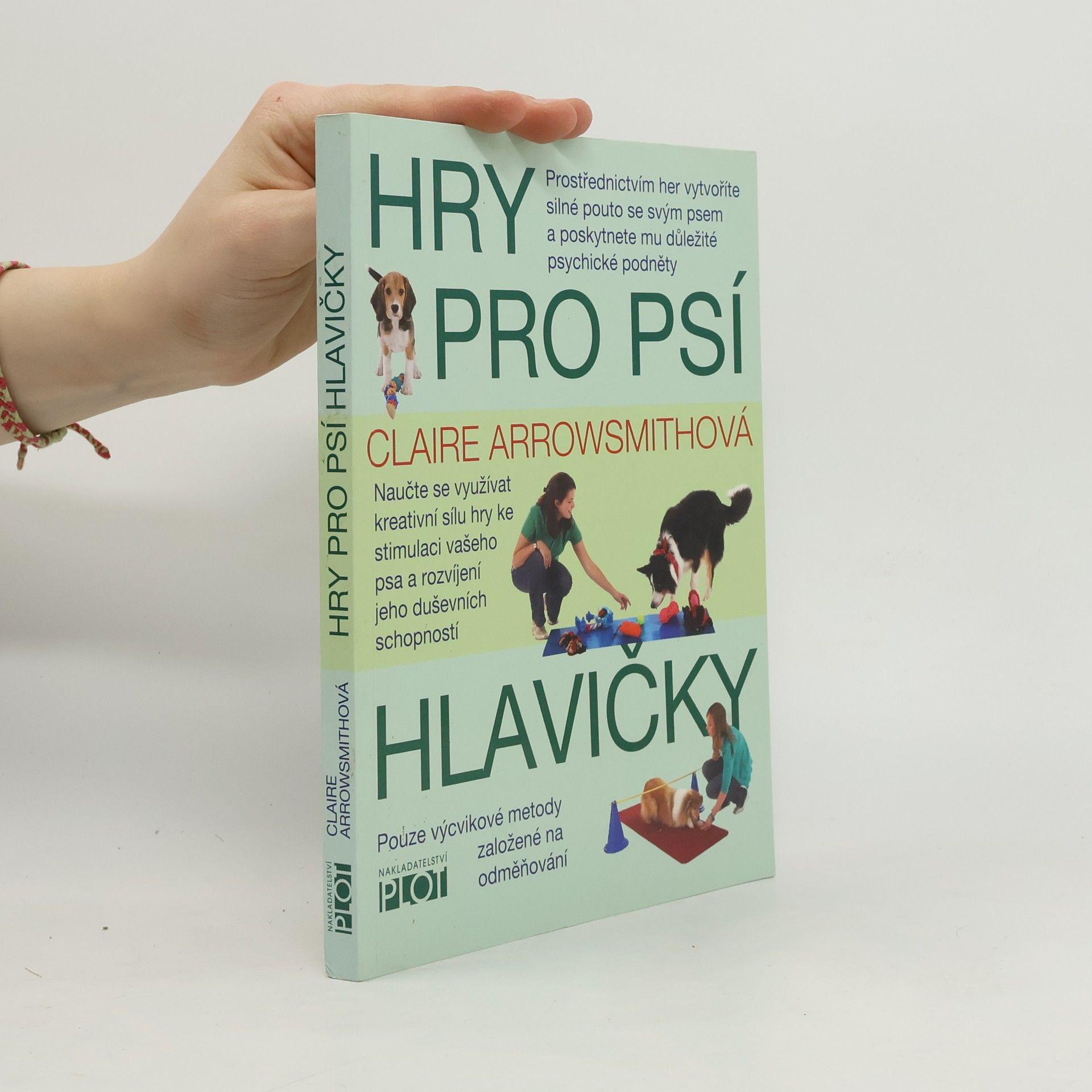 Hry pro psí hlavičky