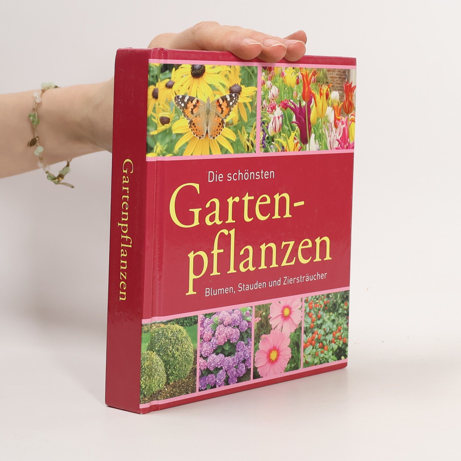 Autorenkollektiv Die schönsten Gartenpflanzen