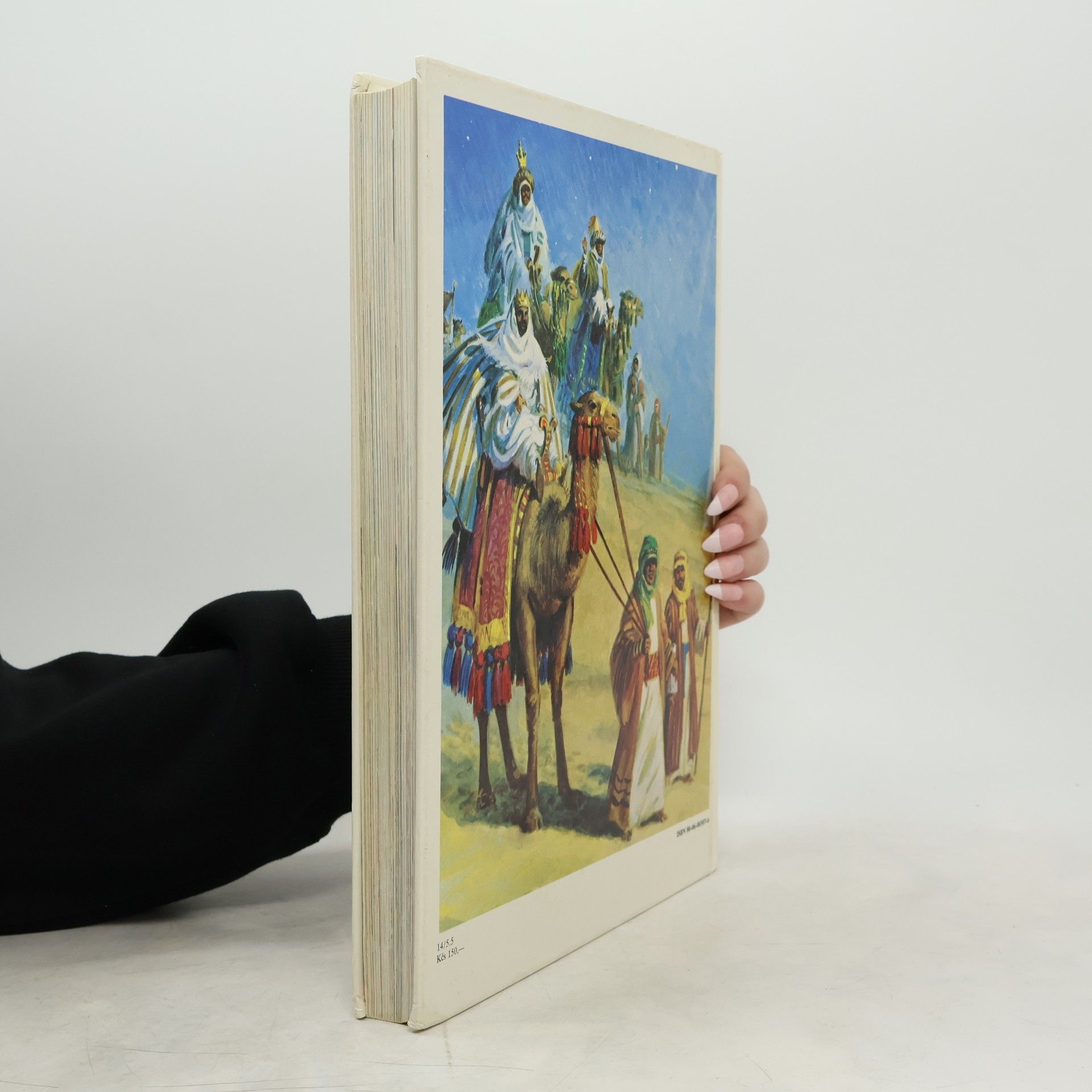 Bridget Hadaway Biblia pre deti