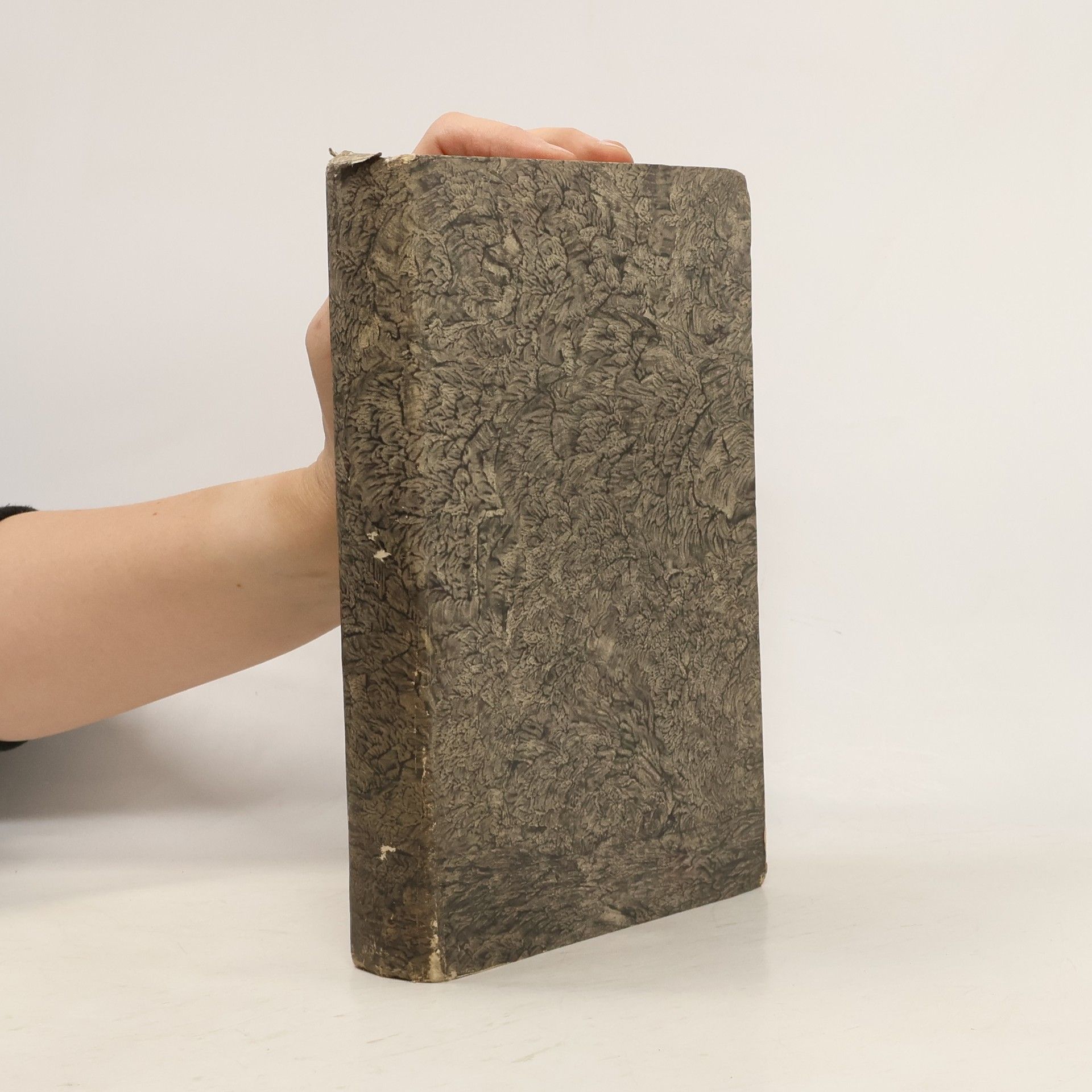 Autores varios Stunden der Andacht 6. Gott in der Natur