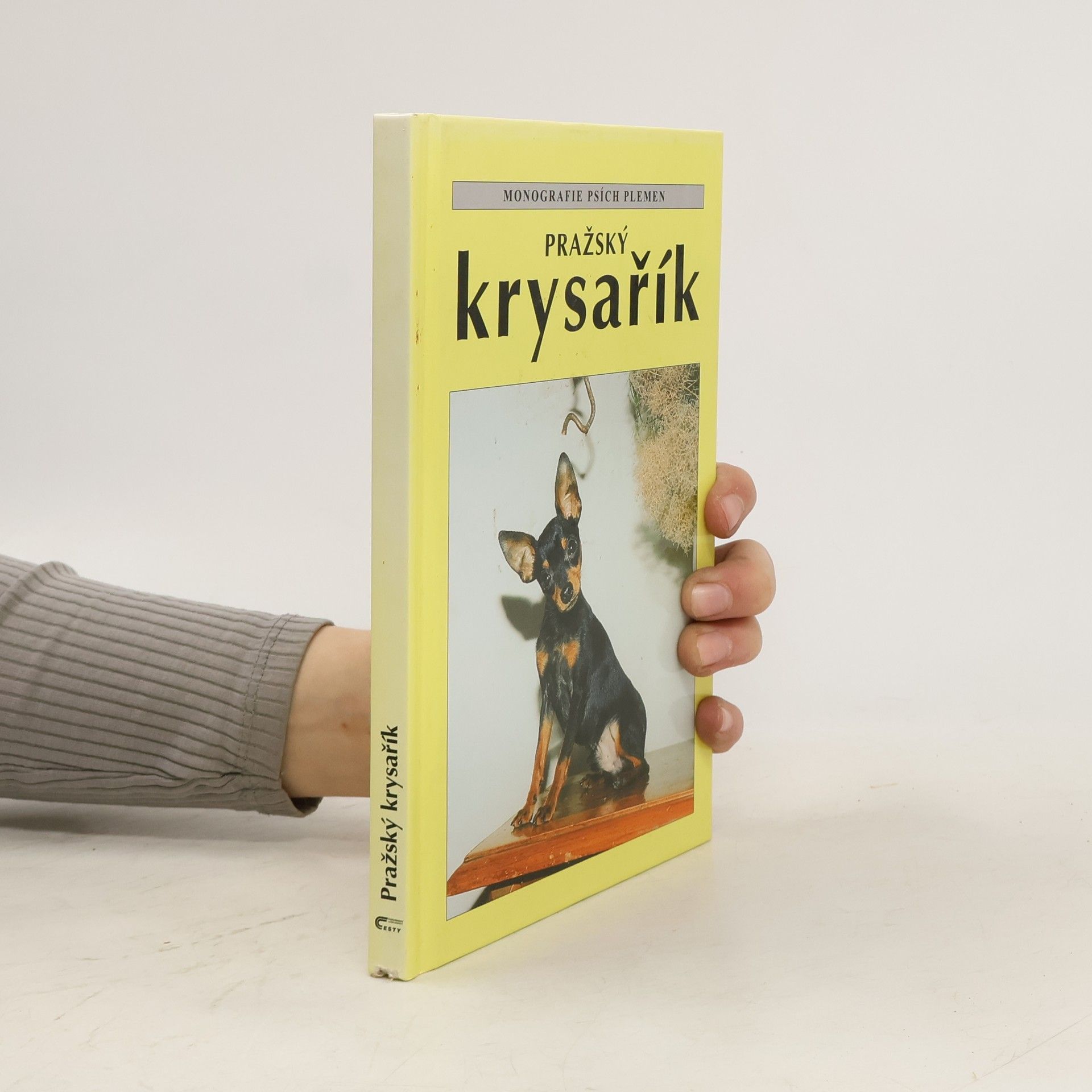 Cyrila Karpfová Pražský krysařík