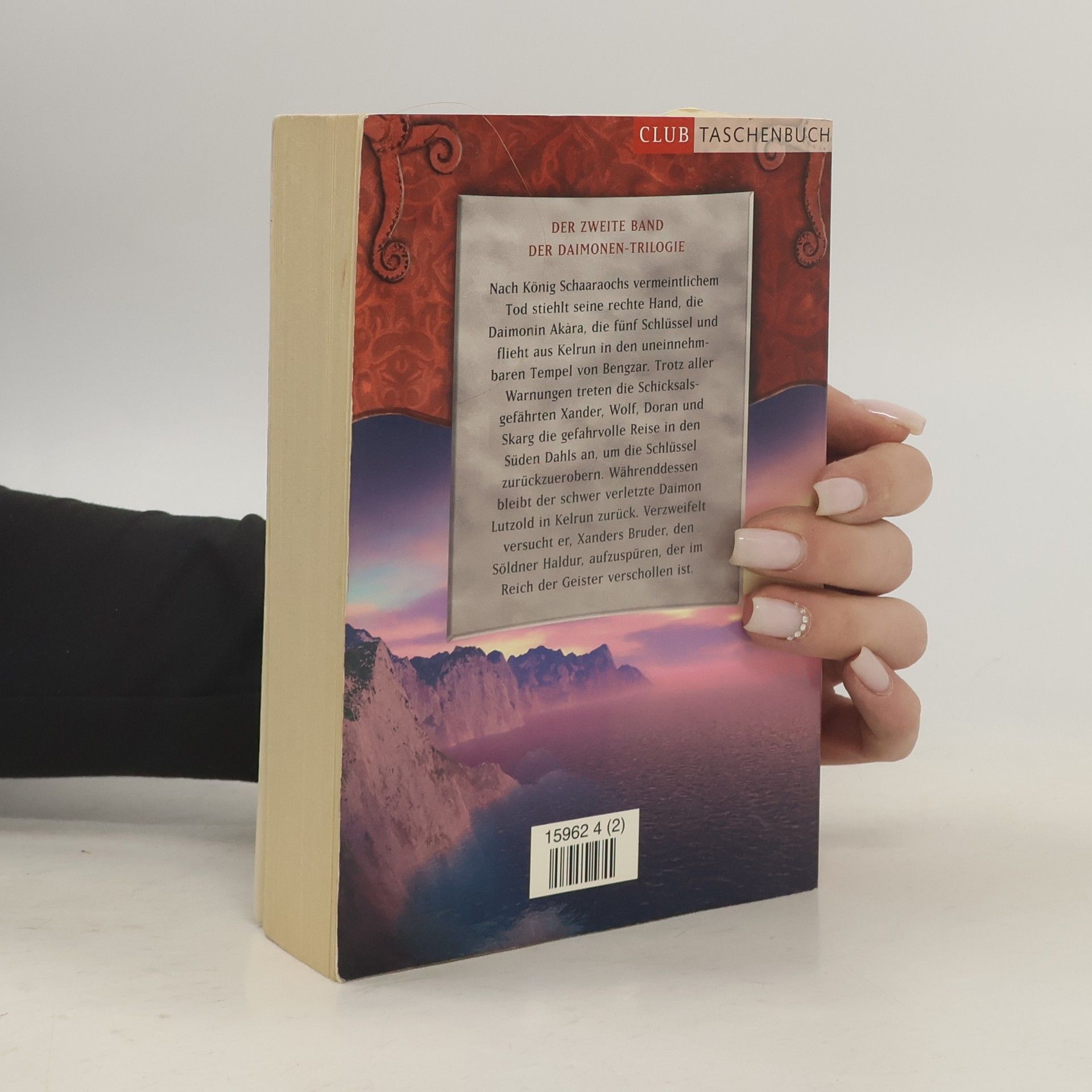 Micha Pansi Das Buch der Tore II