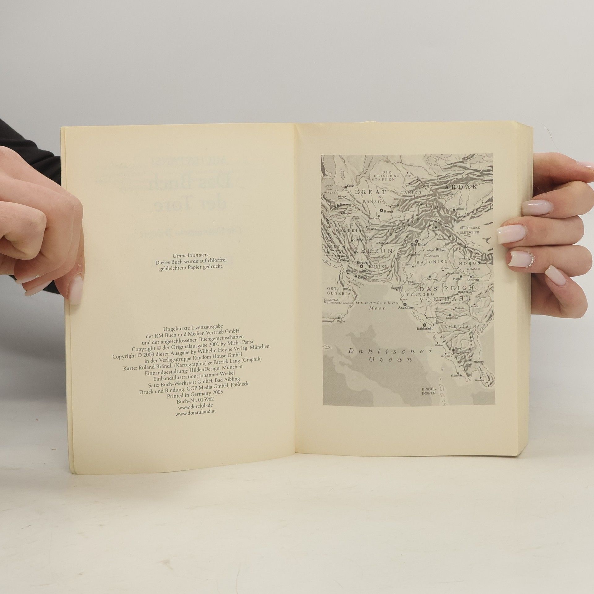 Micha Pansi Das Buch der Tore II
