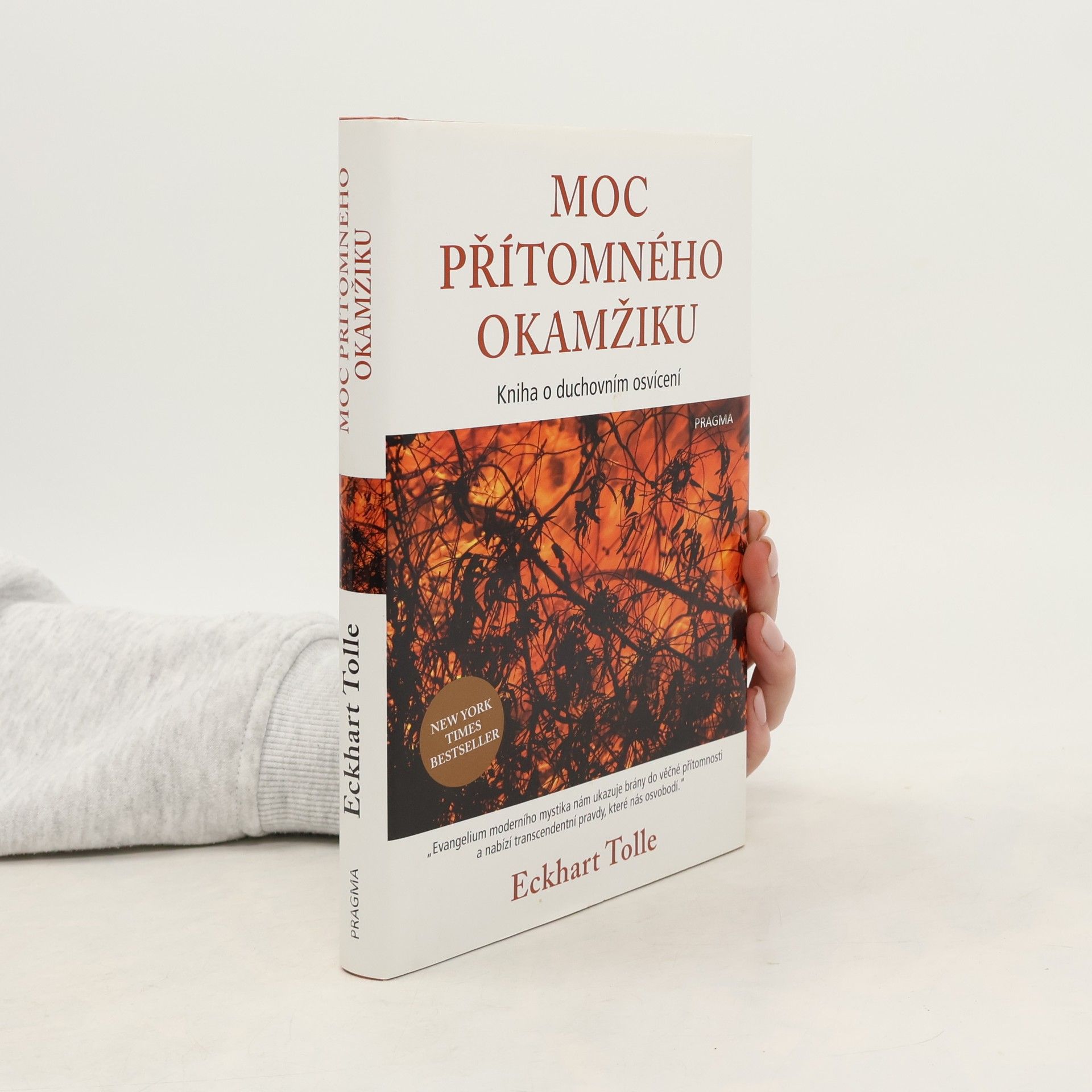 Moc přítomného okamžiku