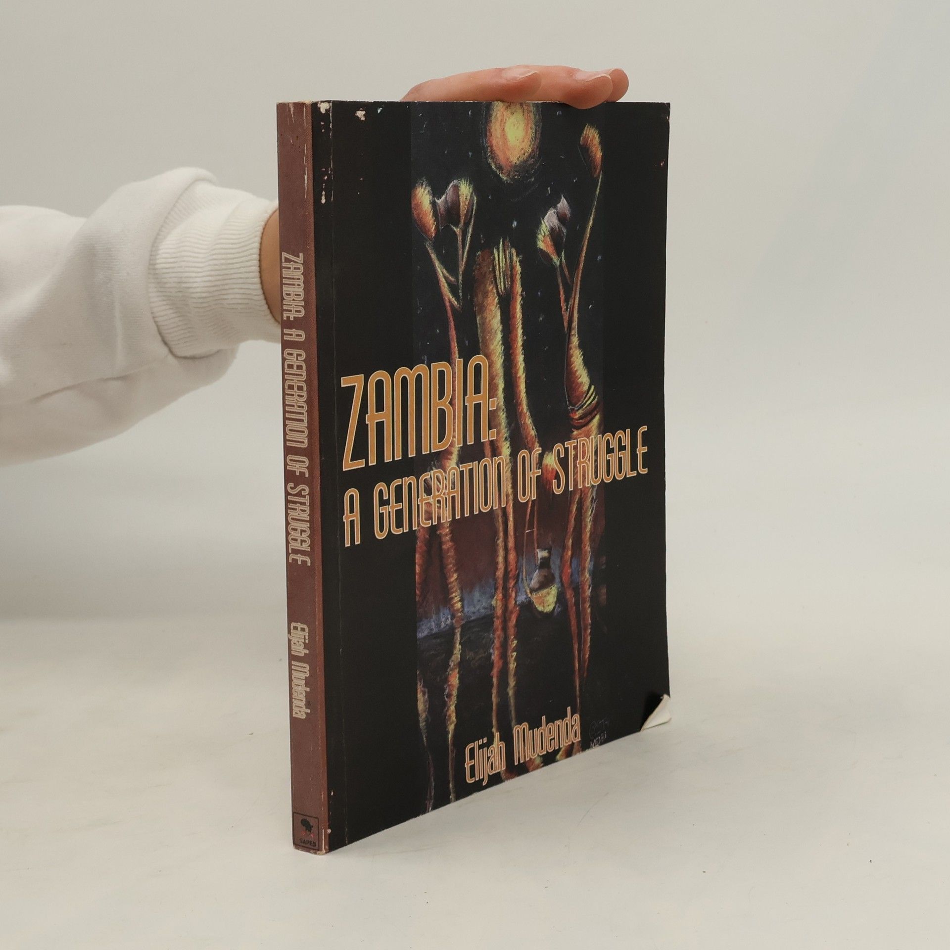 Elijah Mudenda A Generation of Struggle