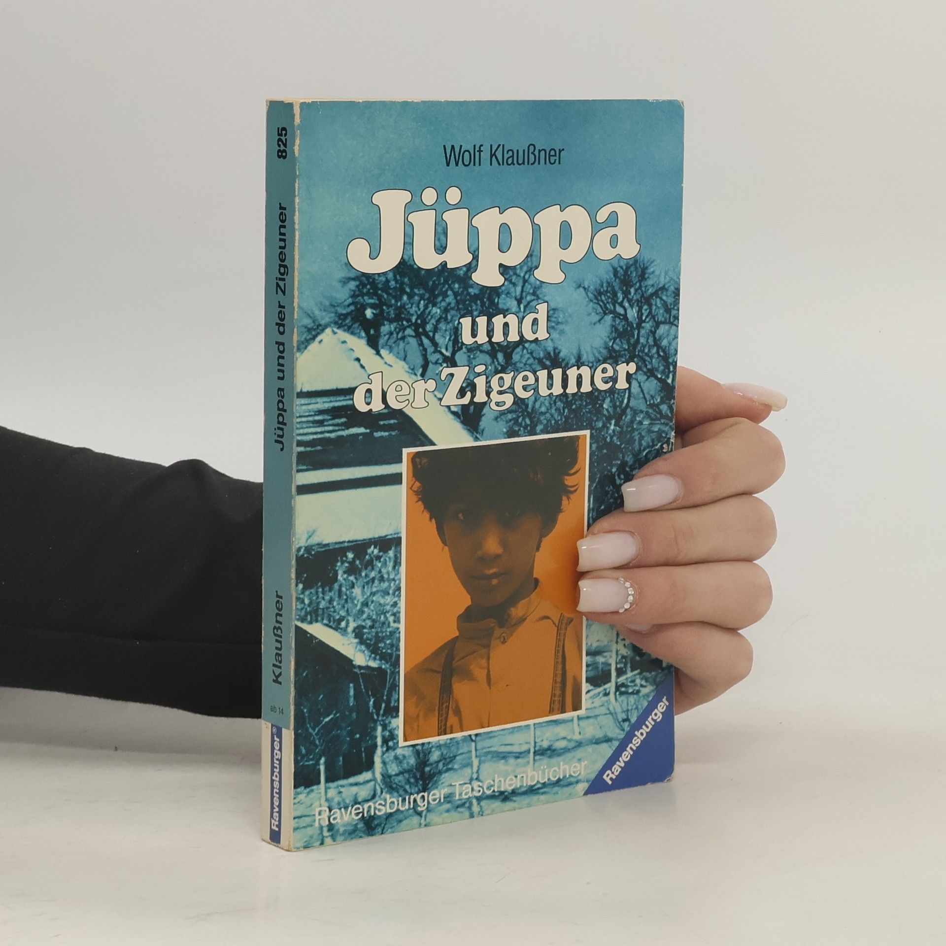 Wolf Klaußner Jüppa und der Zigeuner