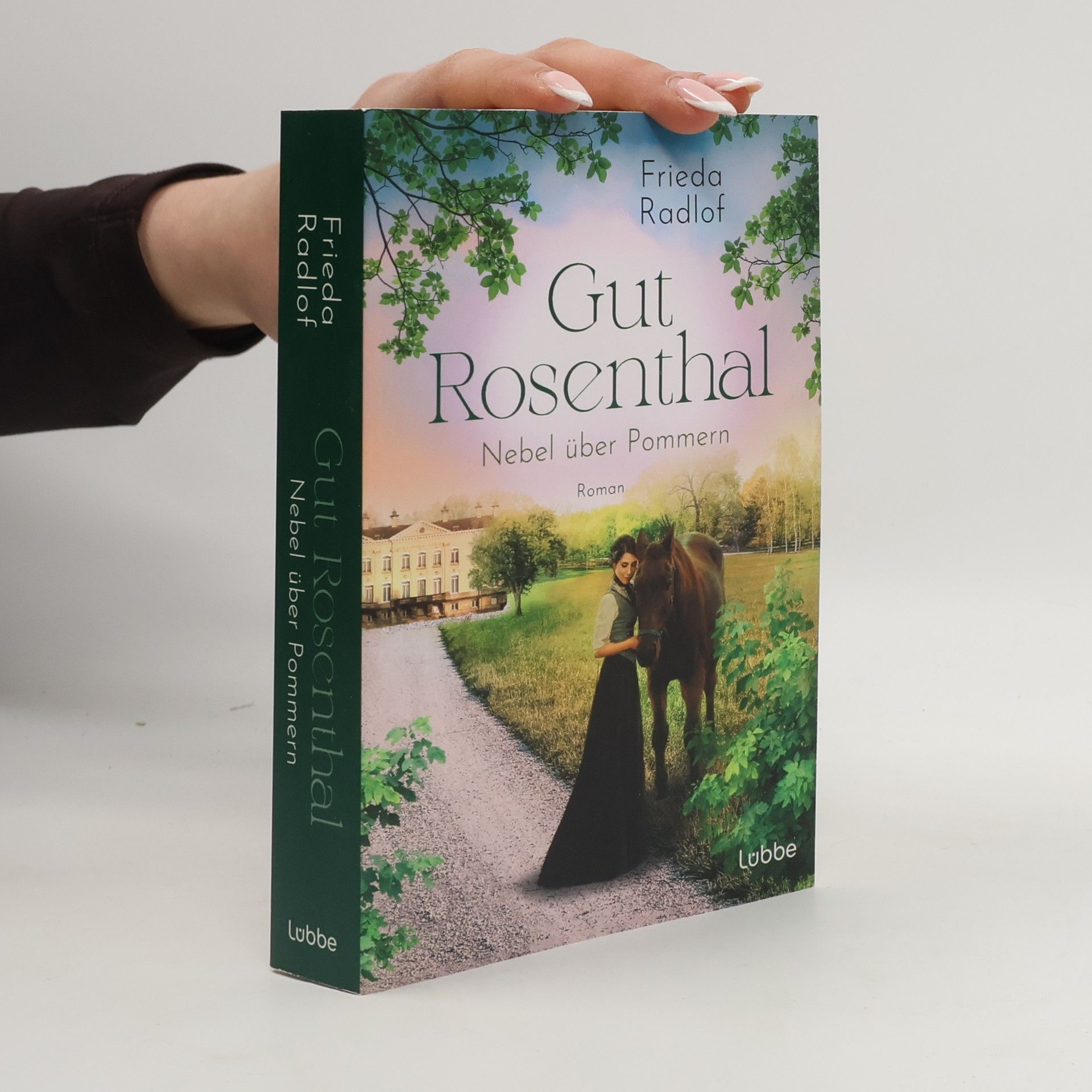 Gut Rosenthal - Nebel über Pommern