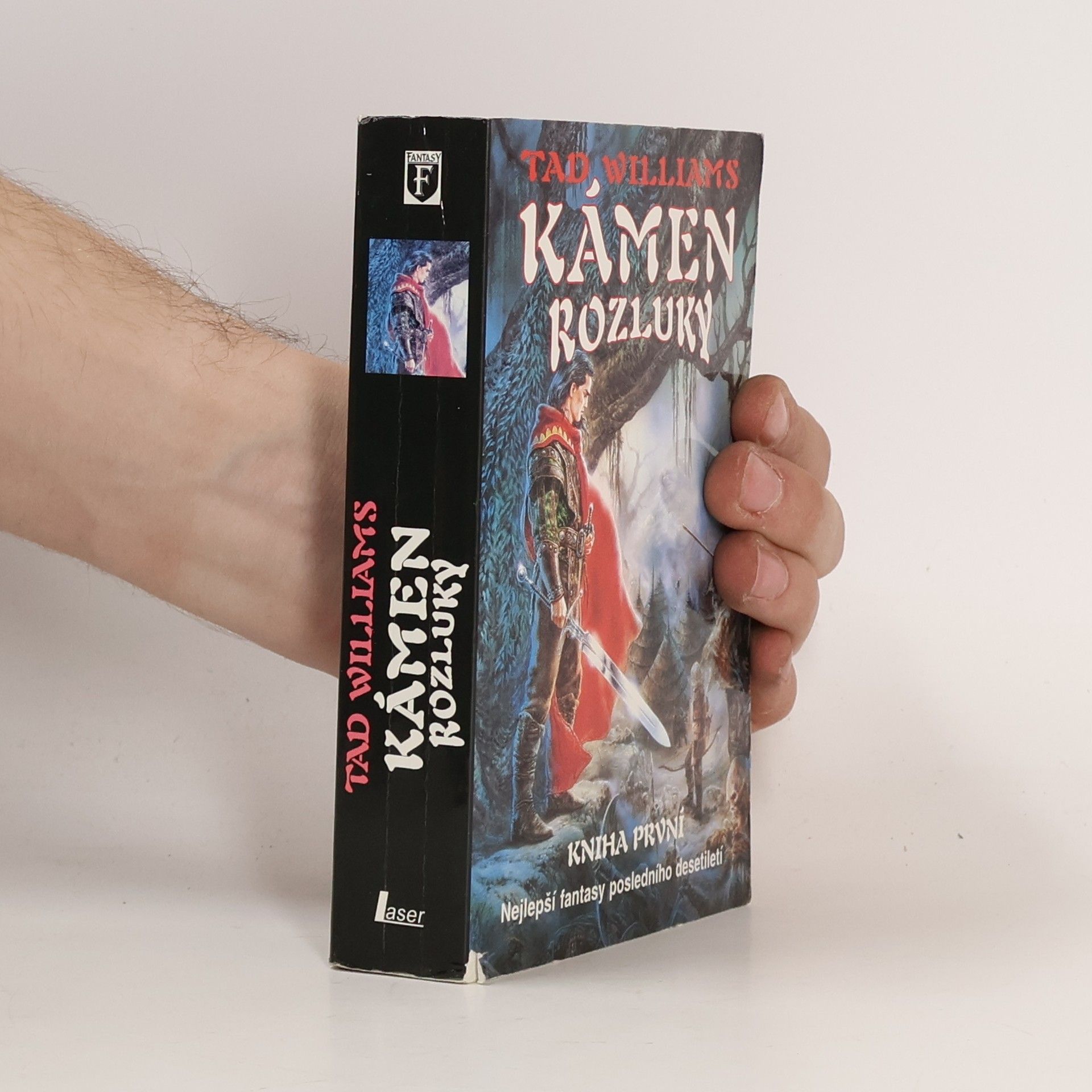 Tad Williams Kámen rozluky. Kniha první.