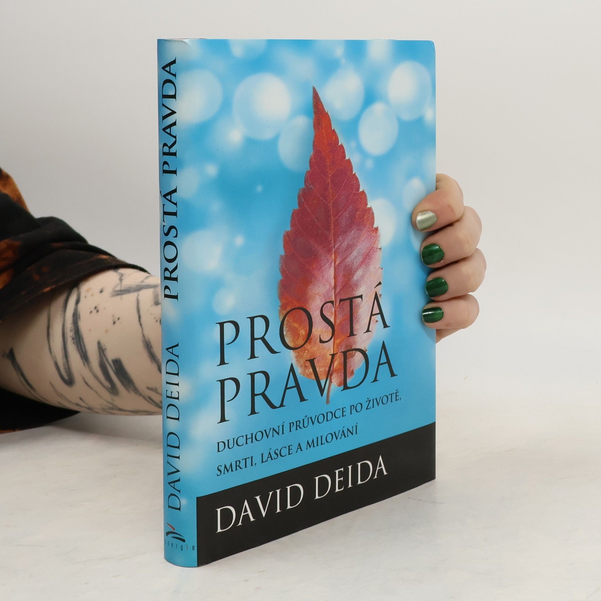 David Deida Prostá pravda