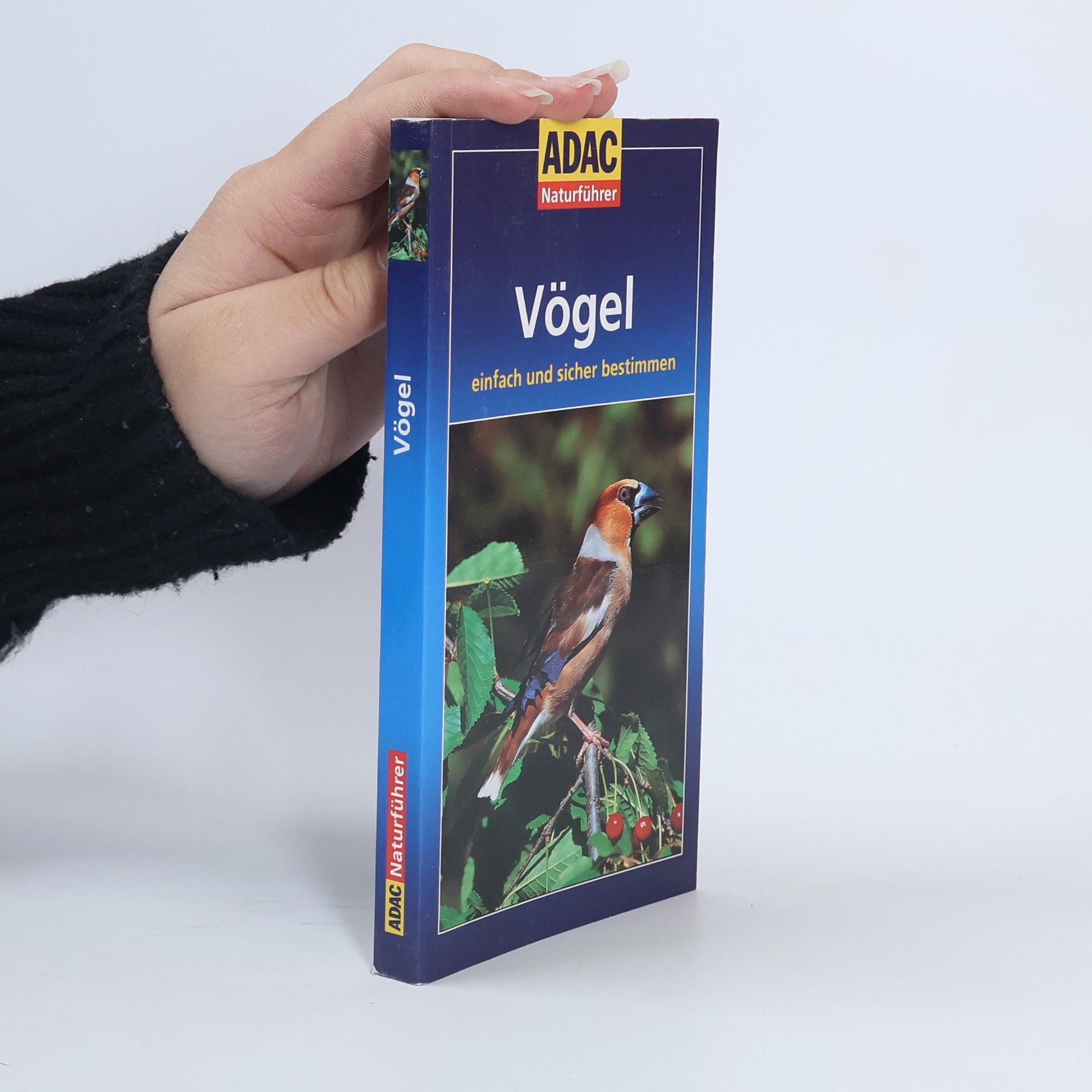 Vögel einfach und sicher bestimmen