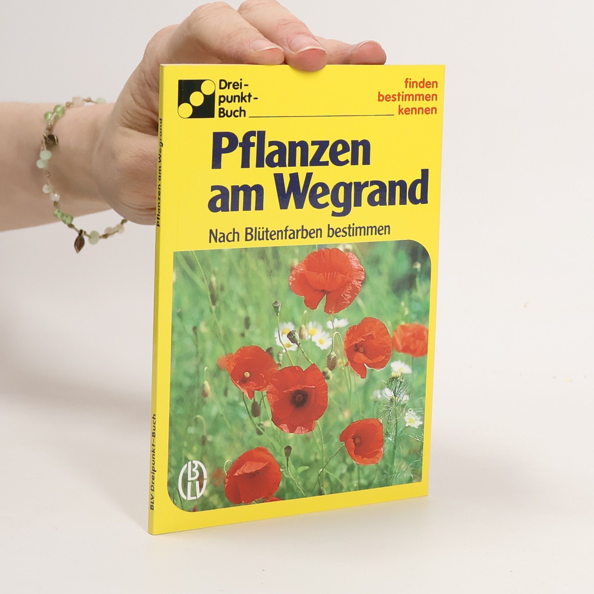 Alfred Handel Pflanzen am Wegrand