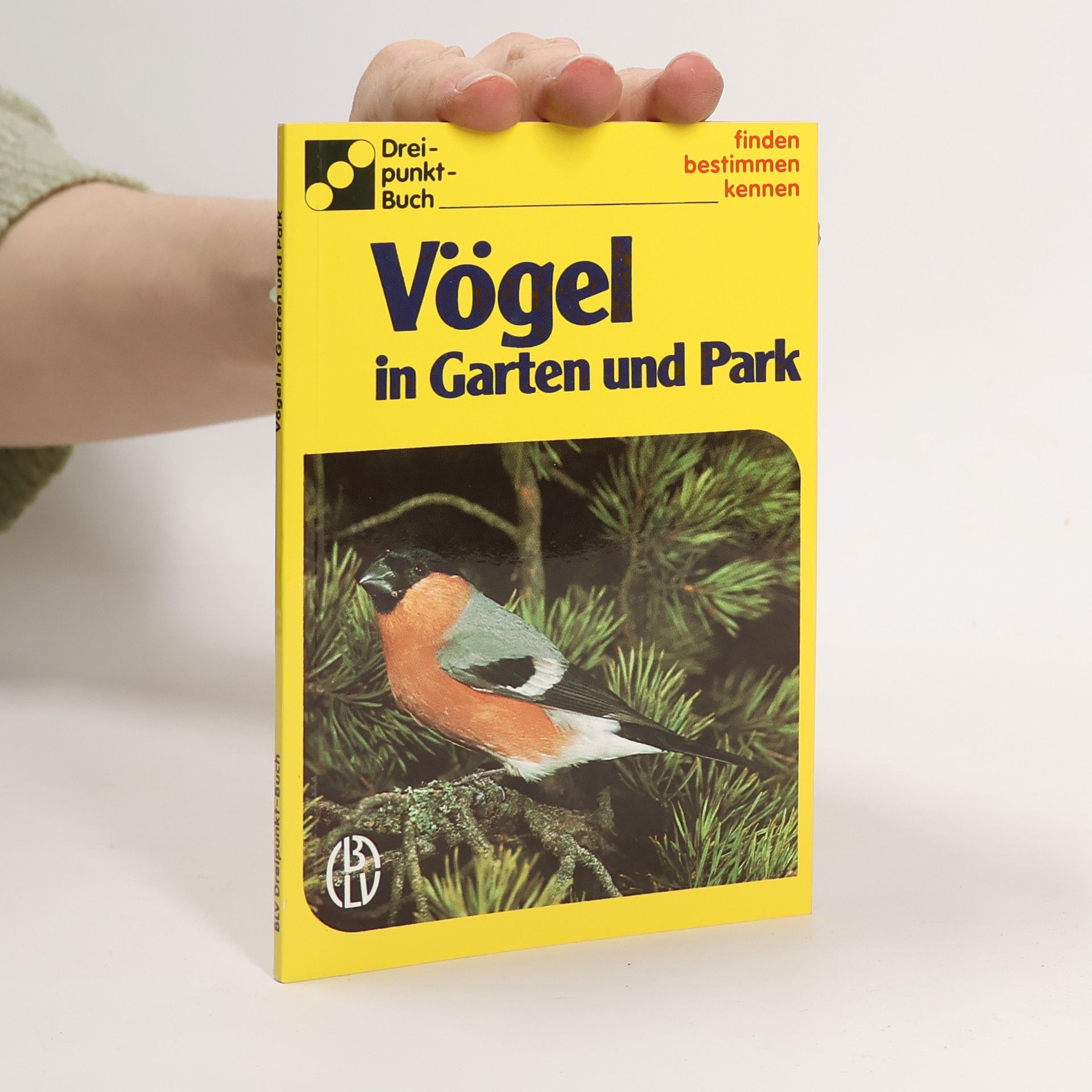 Autorenkollektiv Vögel in Garten und Park