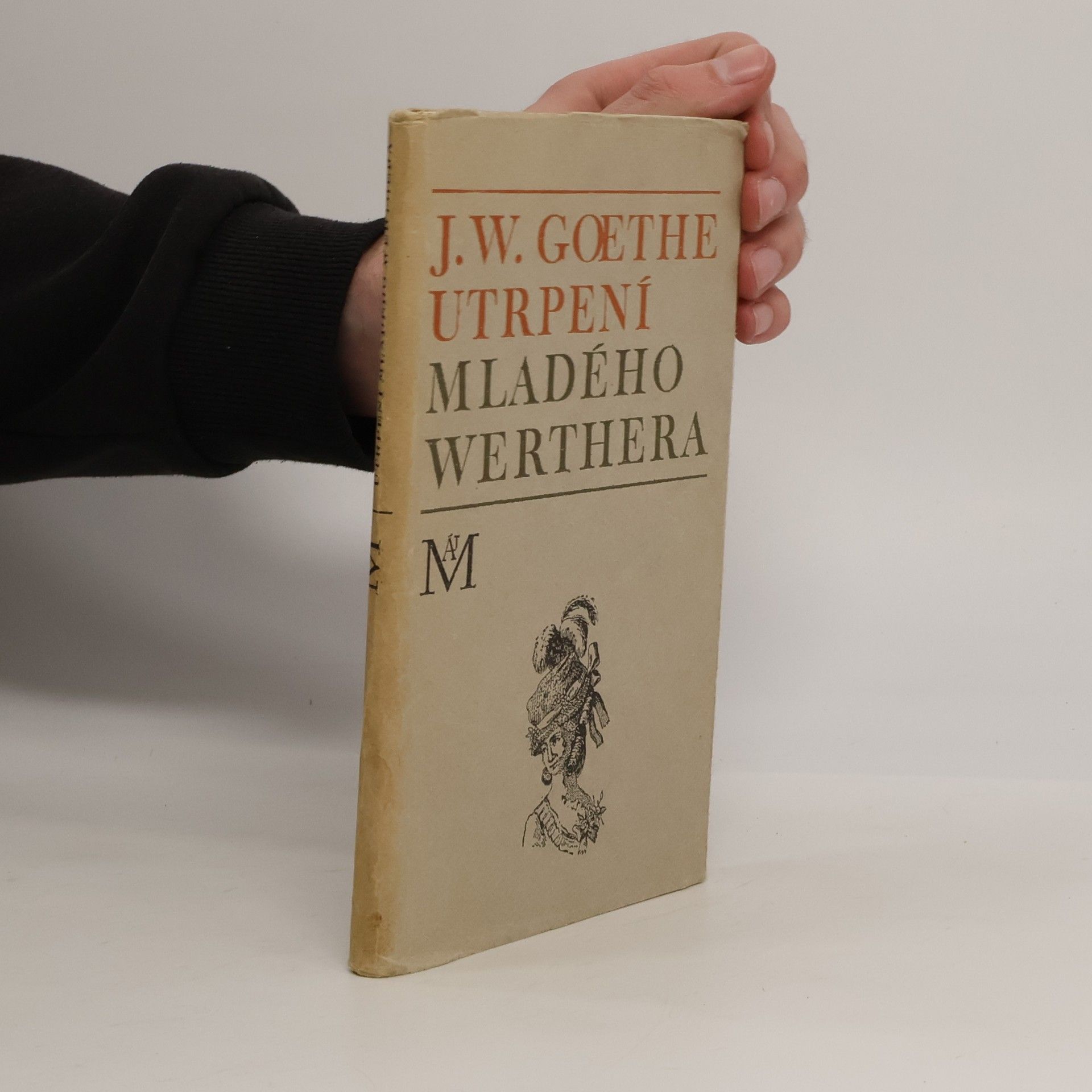 Johann Wolfgang von Goethe Utrpení mladého Werthera